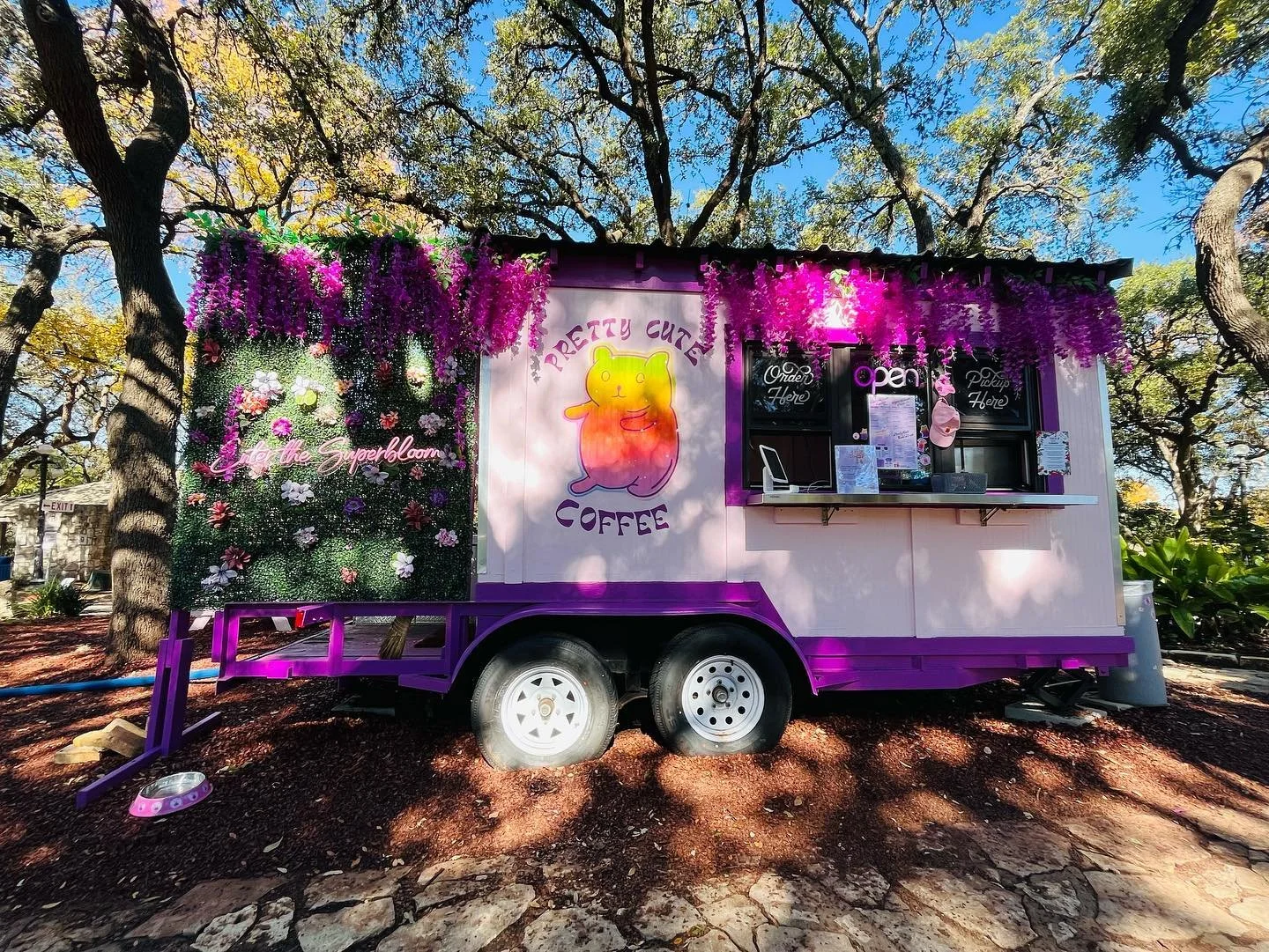 Trying to be more of a tourist in my own town 🌳 
.
.
.
.
#zilkerpark #zilkerbotanicalgarden #prettycutecoffee #foodtrucks #coyfish #japanesegarden #austintexas #southaustin #atx