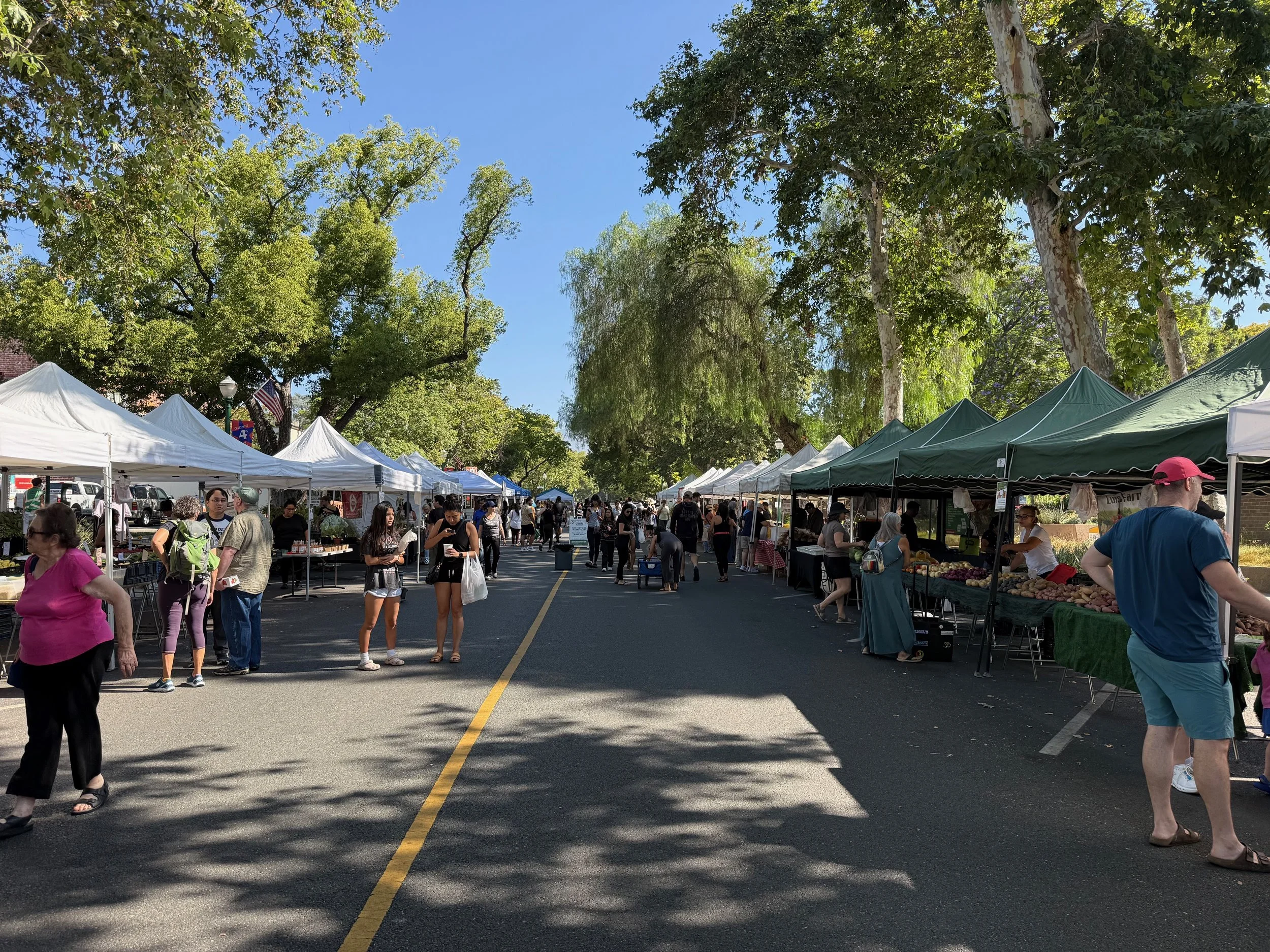 The Claremont Farmers & Artisans Market, every Sunday on Harvard Avenue.