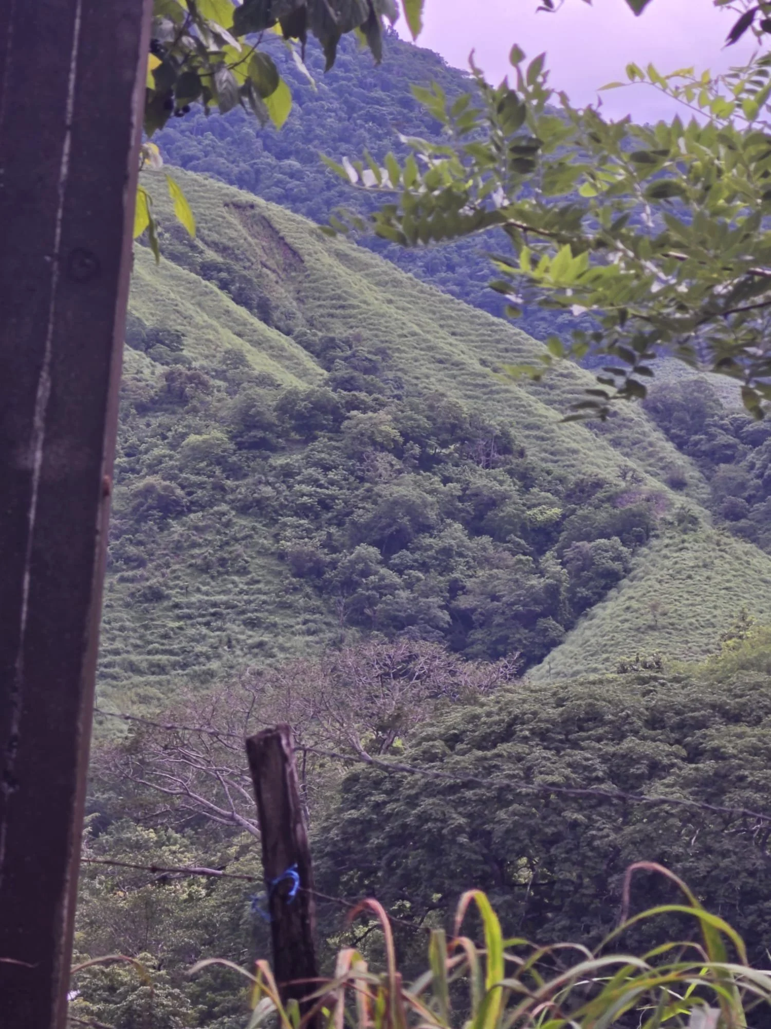 the hills.jpeg