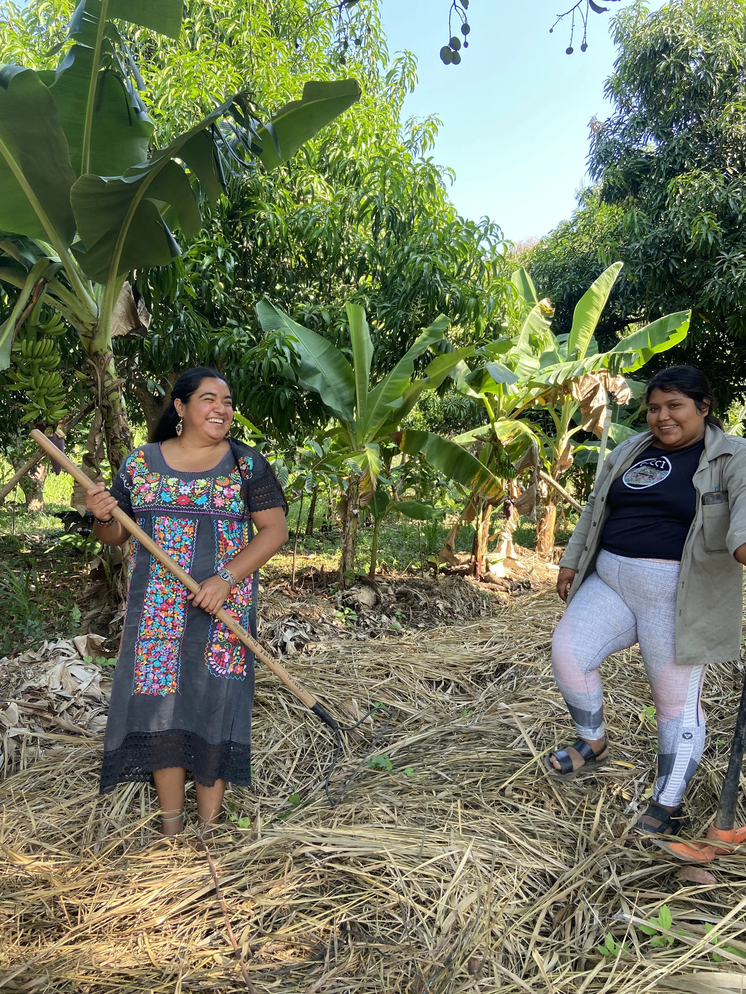 Two women standing in a lush, green tropical garden with banana and other fruit trees, smiling and enjoying their time outdoors.