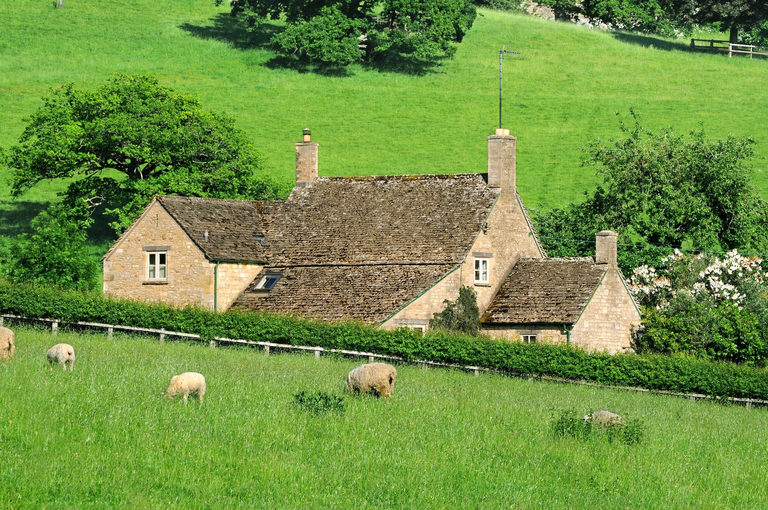 house-countryside.jpg