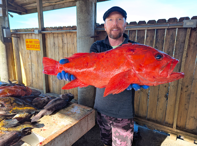 A man holding a large, bright red fish with both hands, standing in front of a wooden fence at a fish market or fishing area.