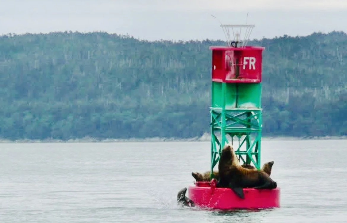A buoy with a red top and a green bottom floats on water, with two sea lions resting on its pink base. In the background, there are forested hills and an overcast sky.