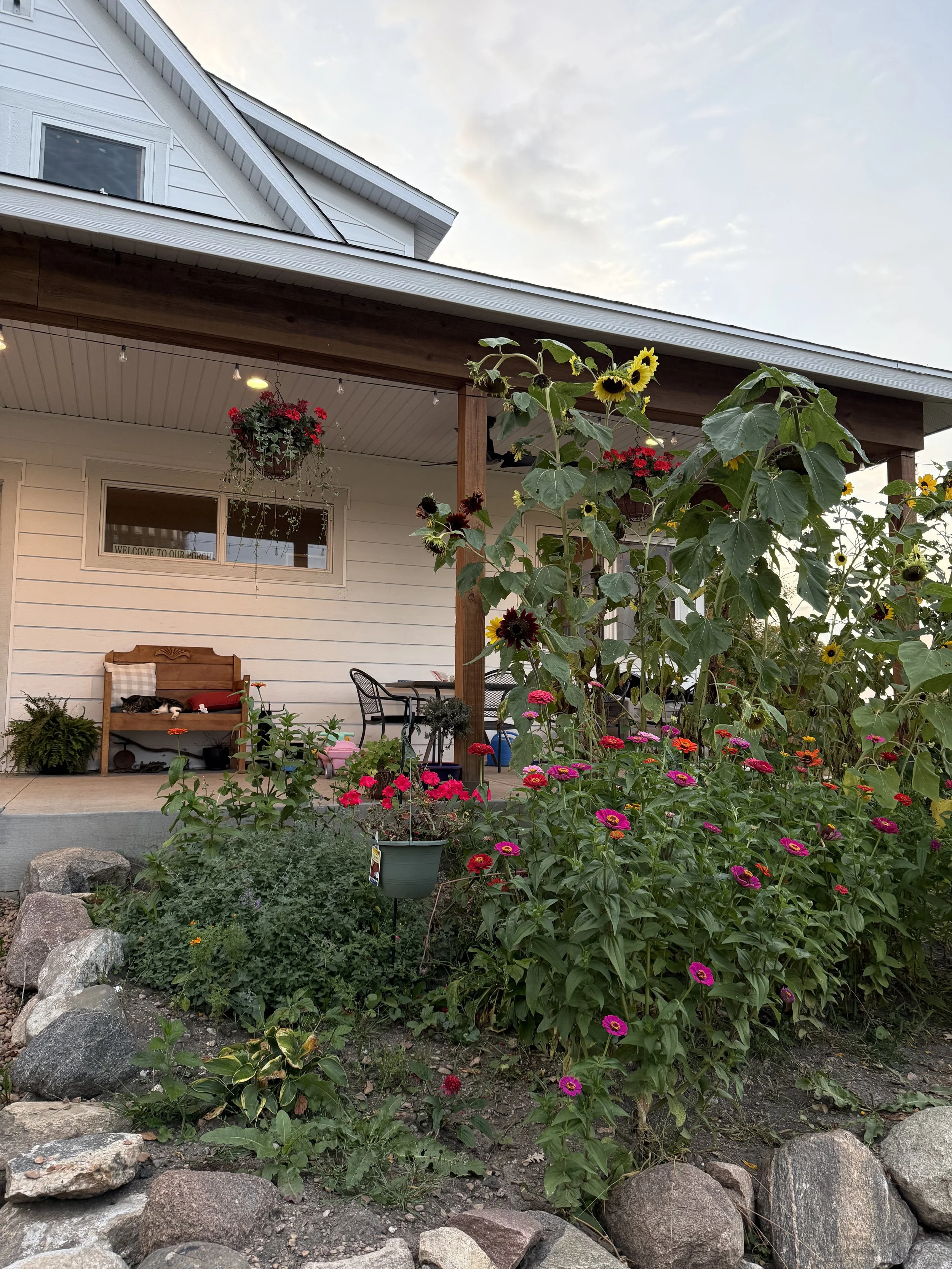 Front porch with hanging flower basket and garden filled with colorful flowers, including sunflowers and zinnias, and surrounded by rocks.