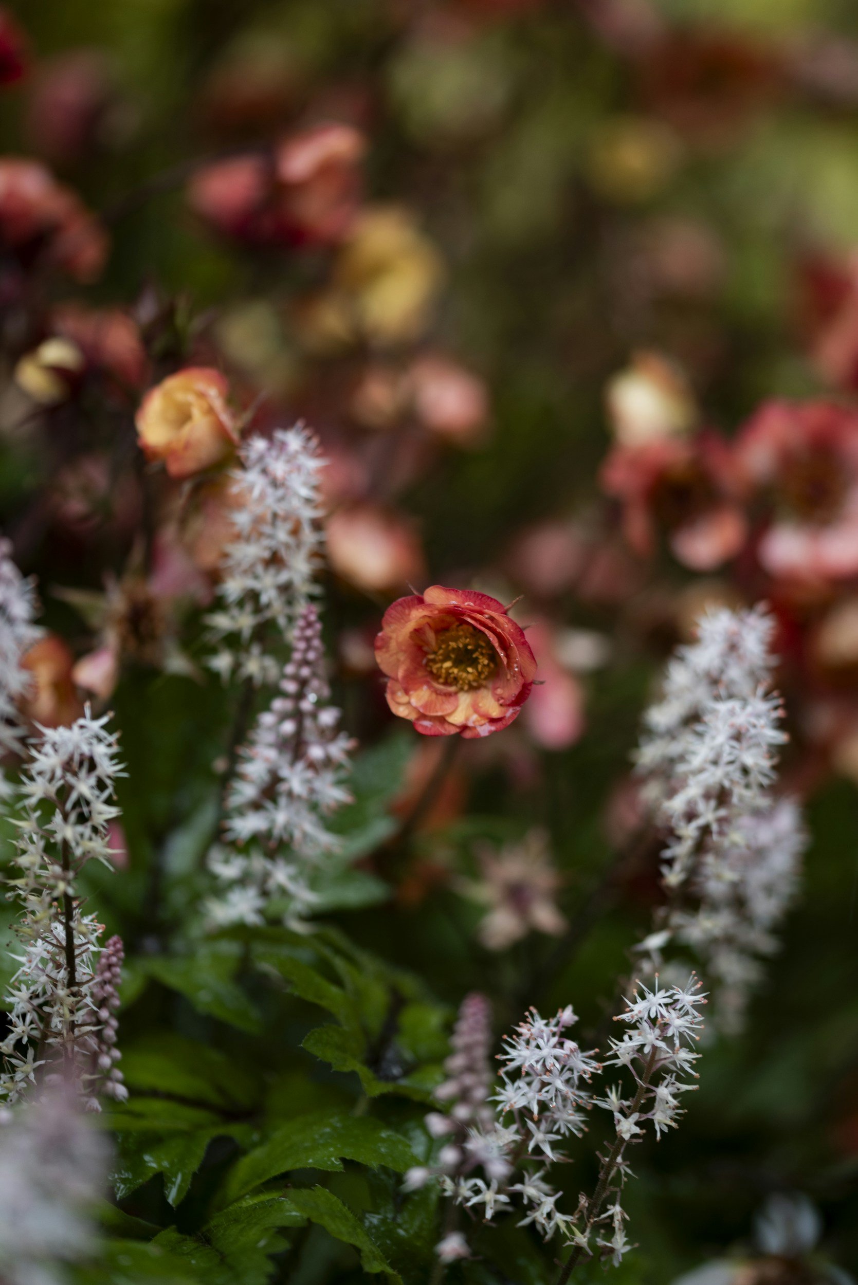 I would’ve never dream of this 2 years ago