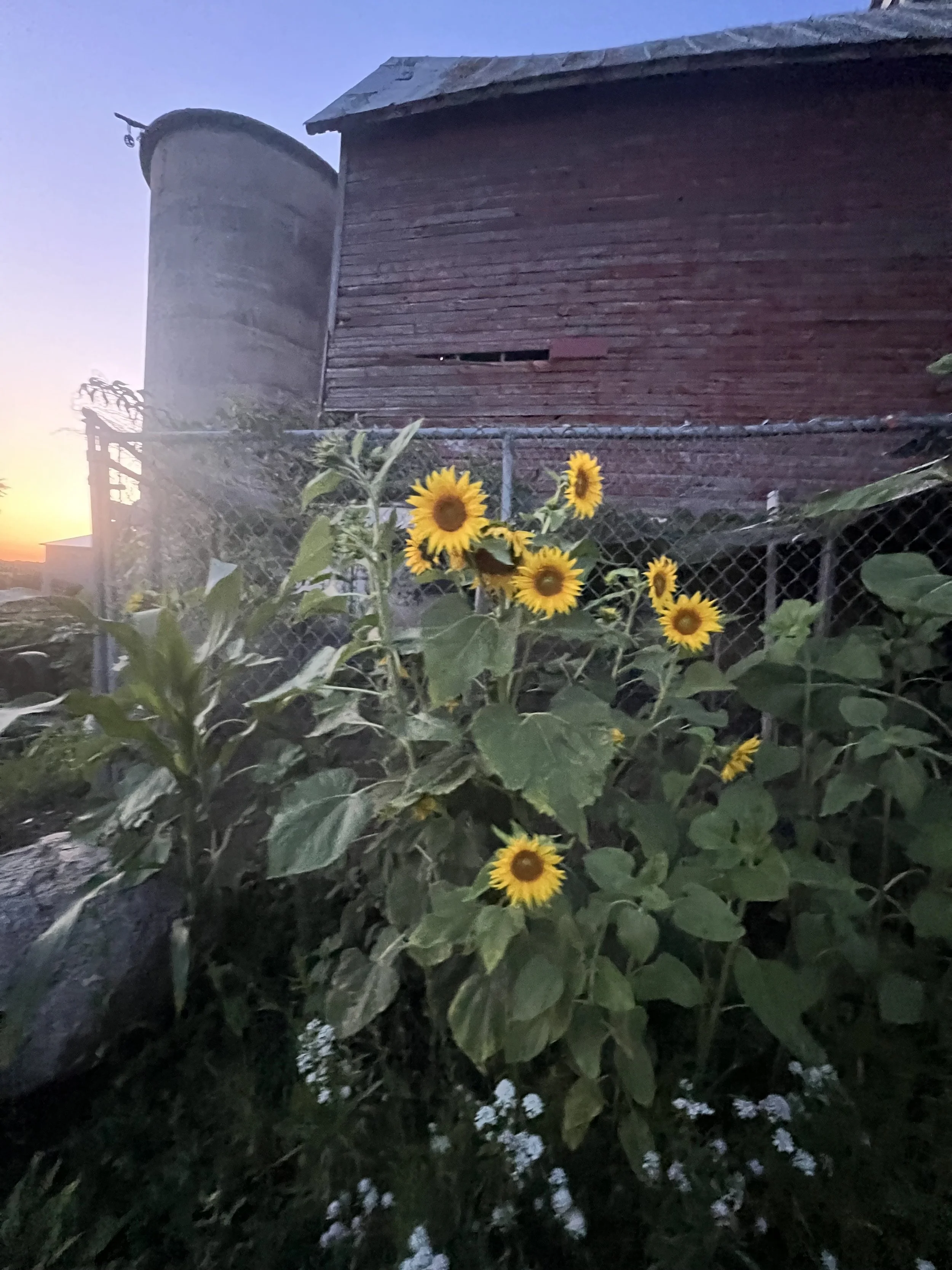 I Can Still Feel the Bright Colors