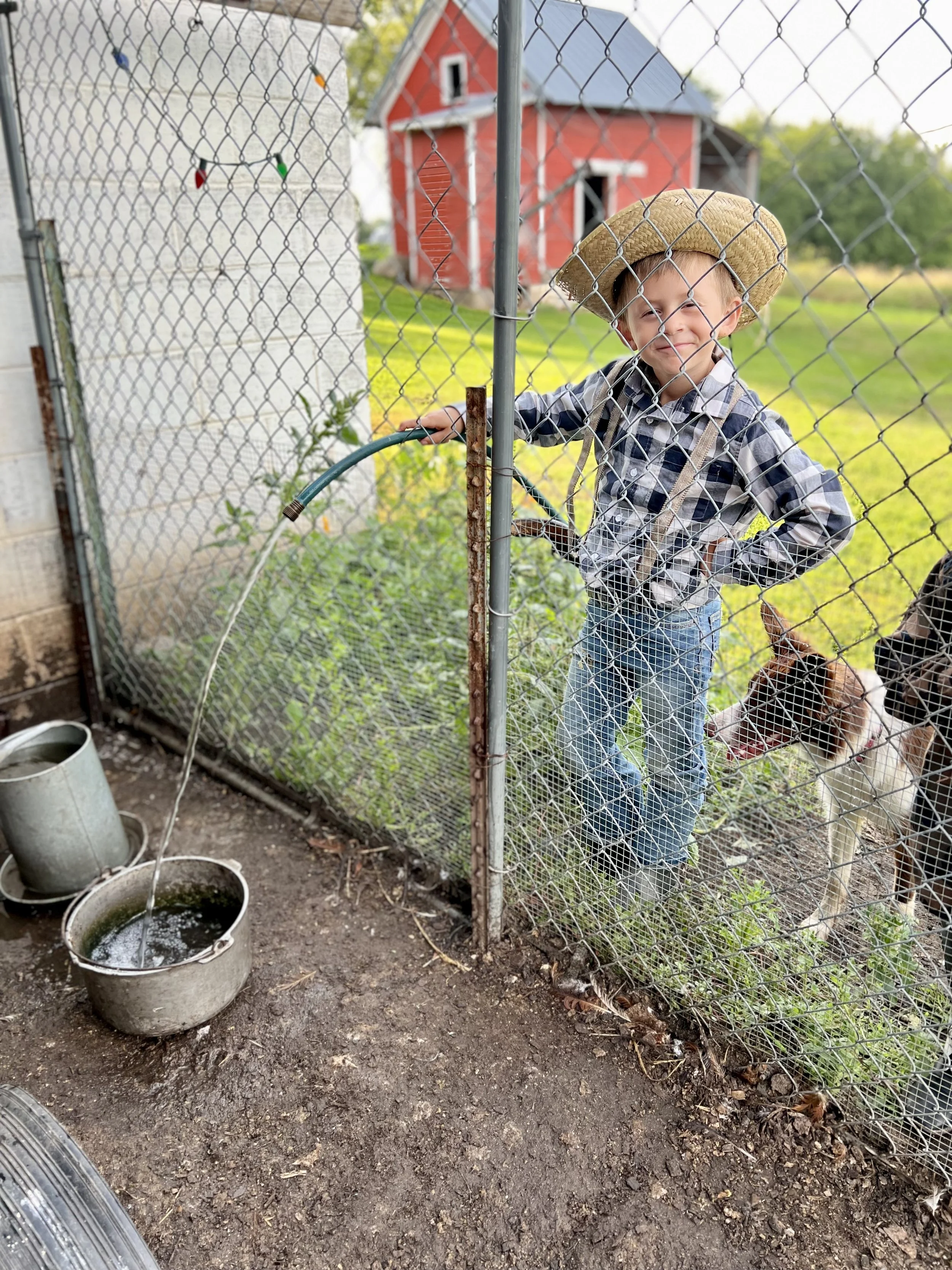 Lincoln & Koda’s Farm Chores