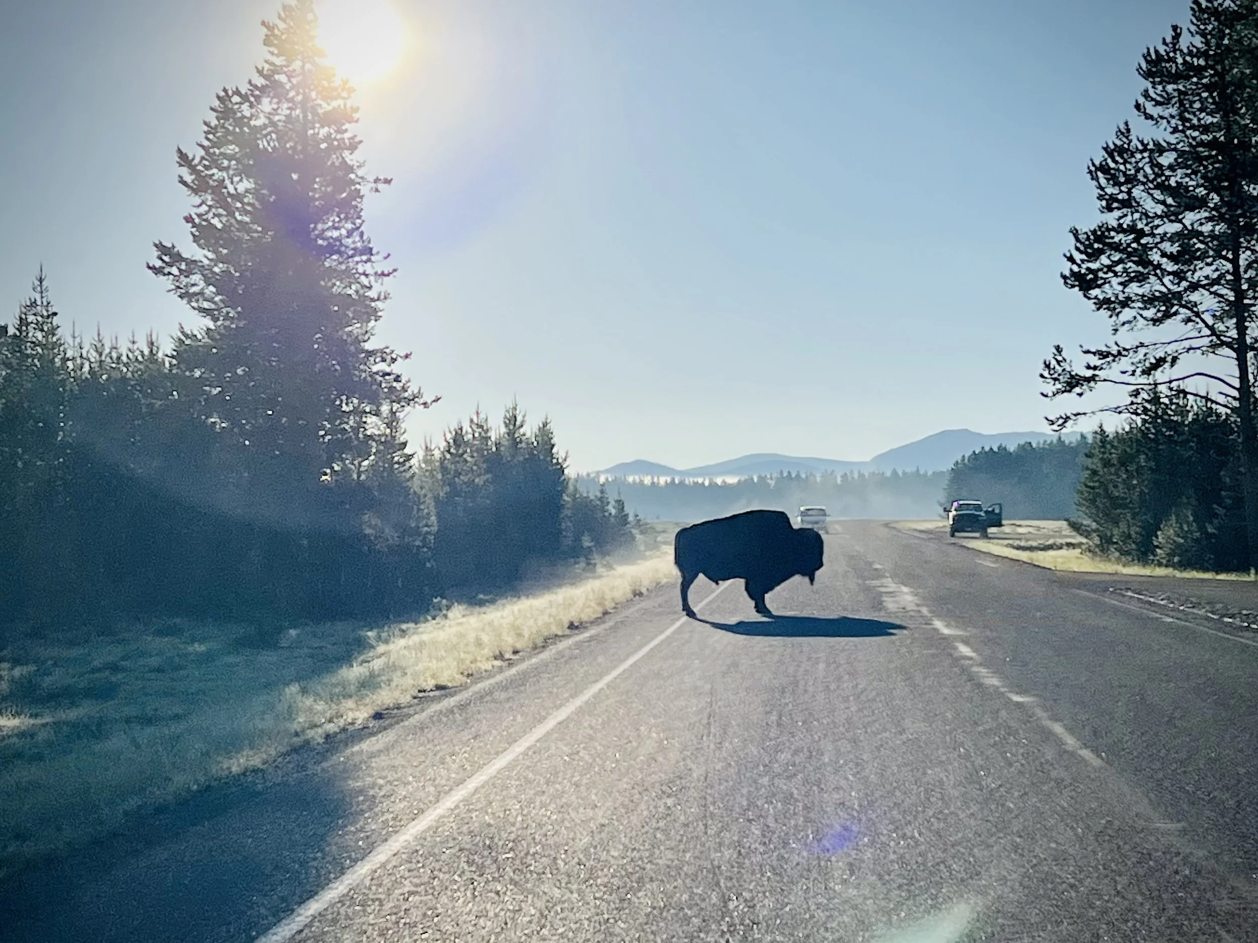 Things to Know about Yellowstone