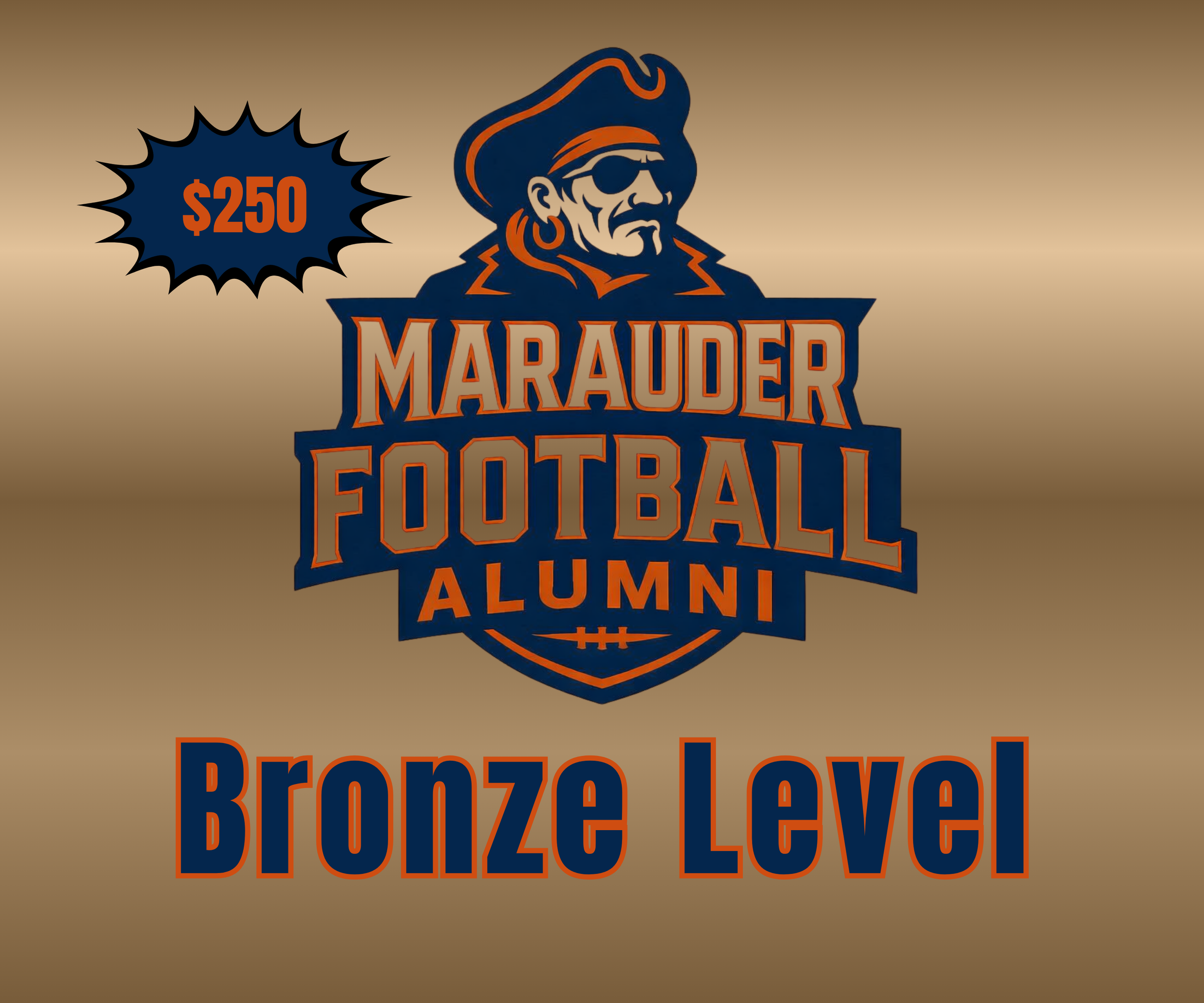 Bronze Level