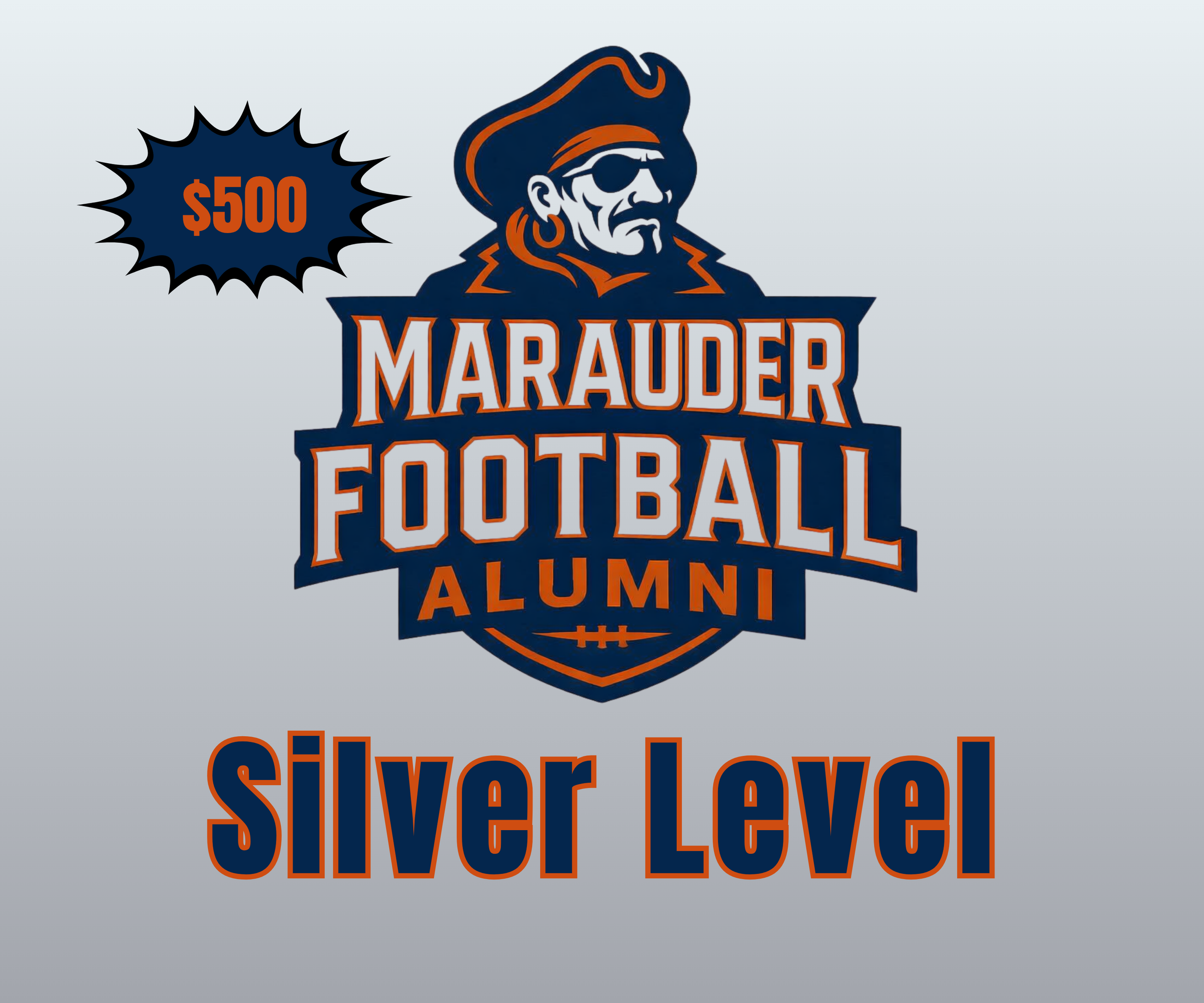 Silver Level