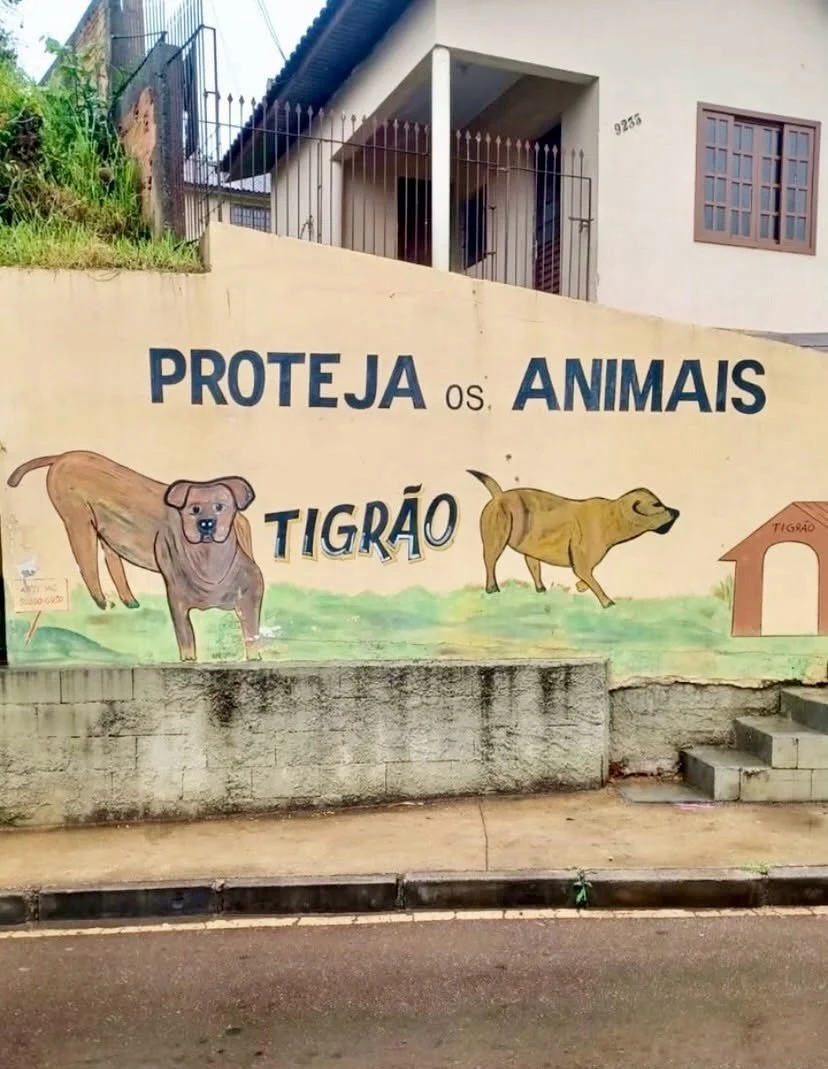 Vem c&aacute; vamos passear 

01 Campo Largo, Paran&aacute;
📸 @rafaelrrossa e @mariaclaradesouza_

02 Rio Pequeno, S&atilde;o Paulo, SP
📸 @madalenaoufisk

03 Bairro de Santana, Porto Alegre, RS 
📸 @aneperini

04 Bel&eacute;m, Par&aacute;
📸 @renat