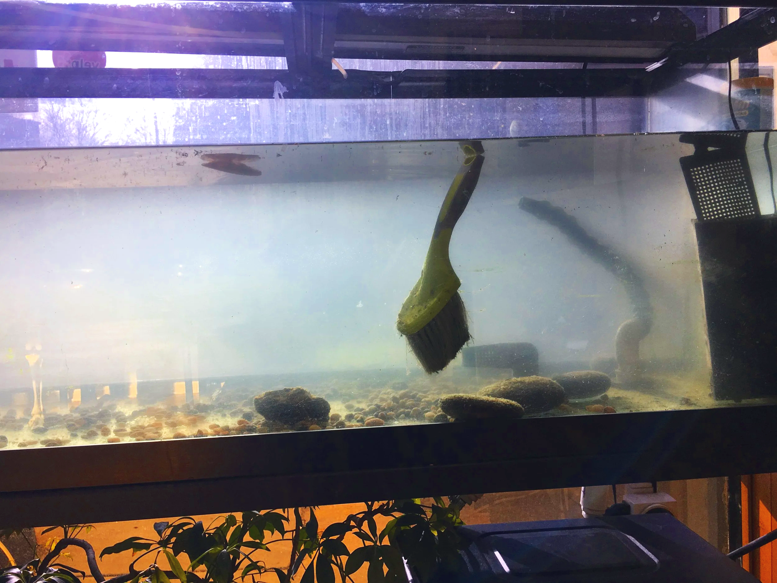 Where in the world did I take this?