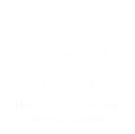 Icon of four people and the word 'Culture' with the phrase 'How people experience the organization' underneath.