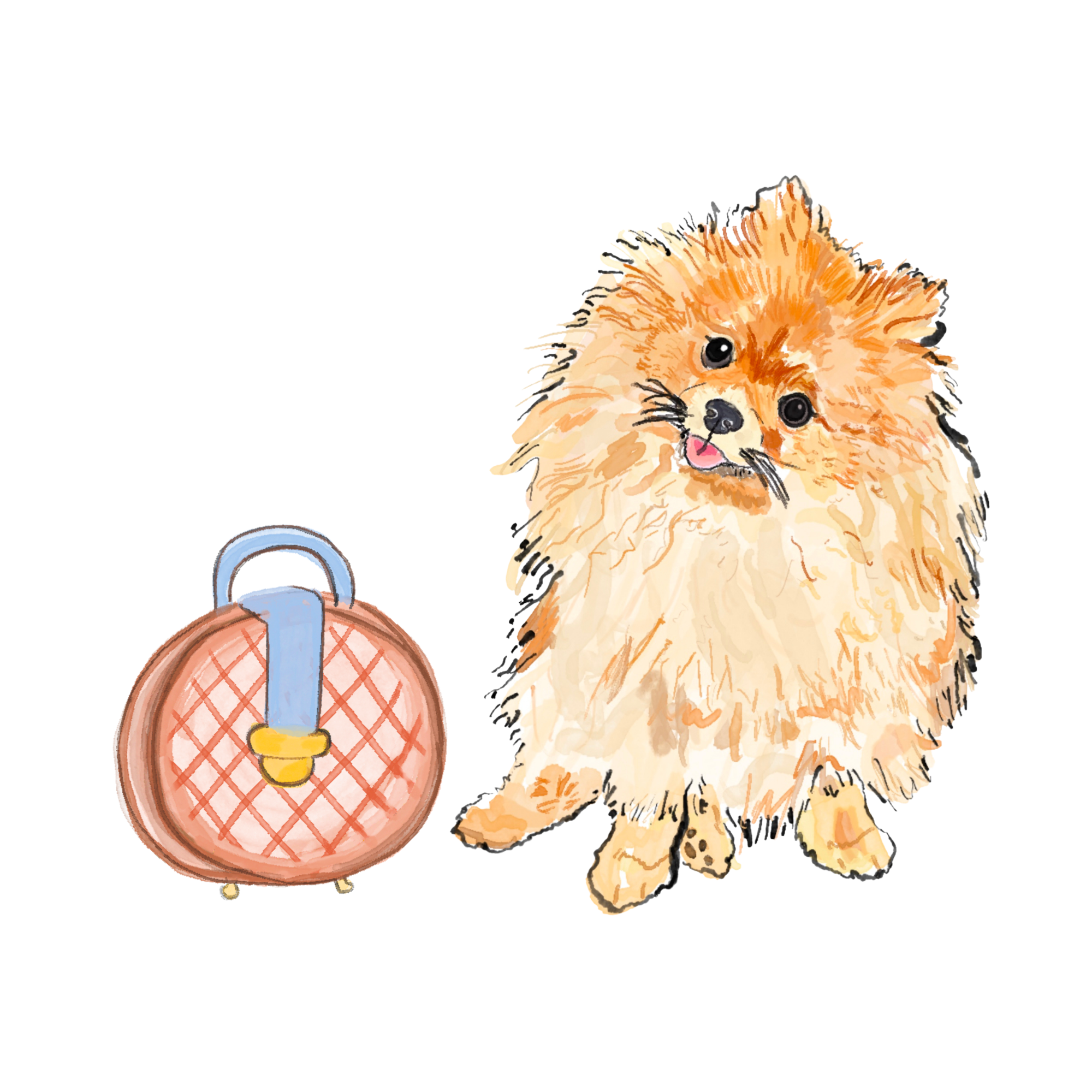 Watercolor illustration of a cute fluffy Pomeranian dog with a pink leash and collar, smiling with its tongue out, standing next to the leash.
