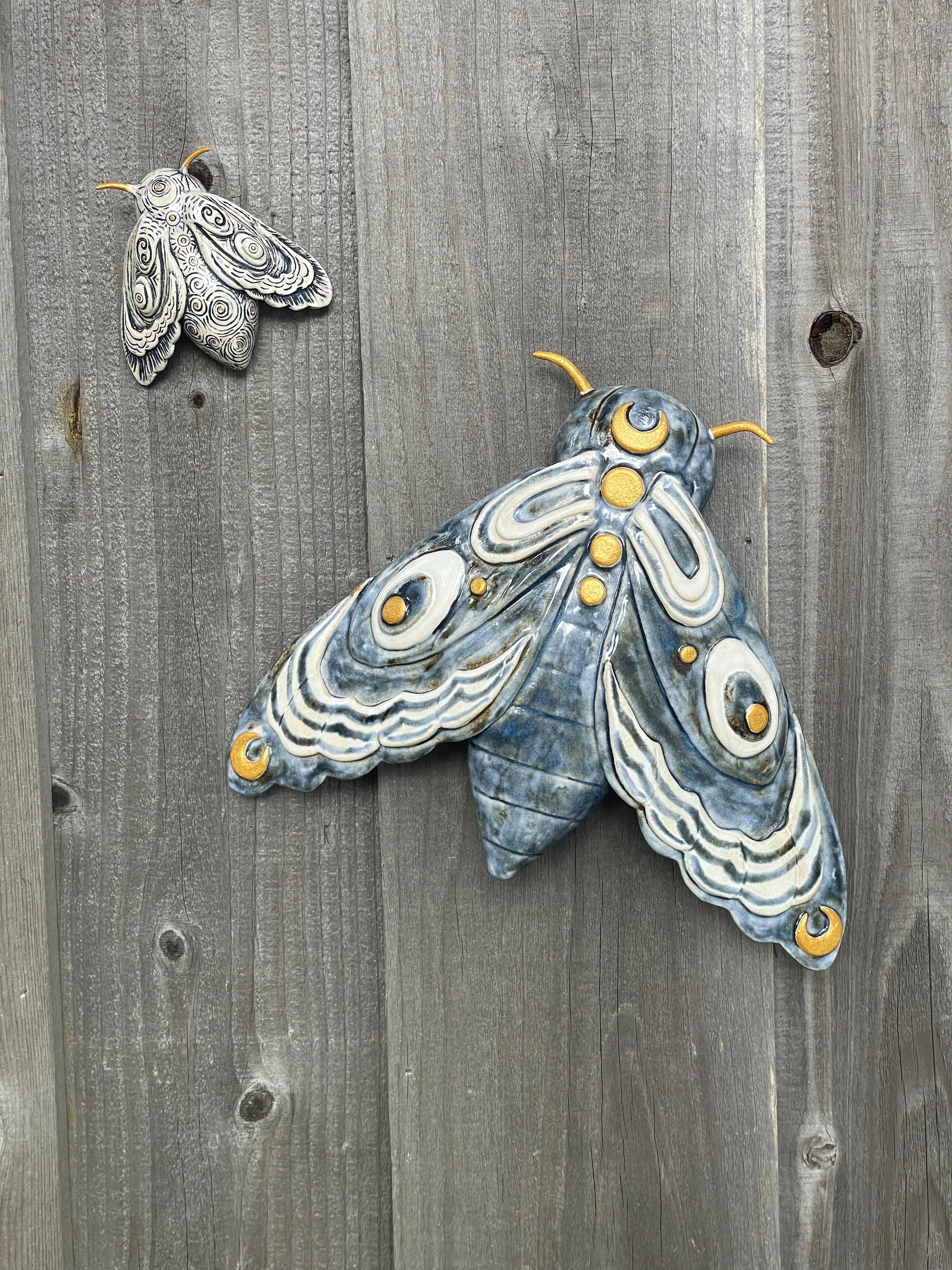 Celestial Moths