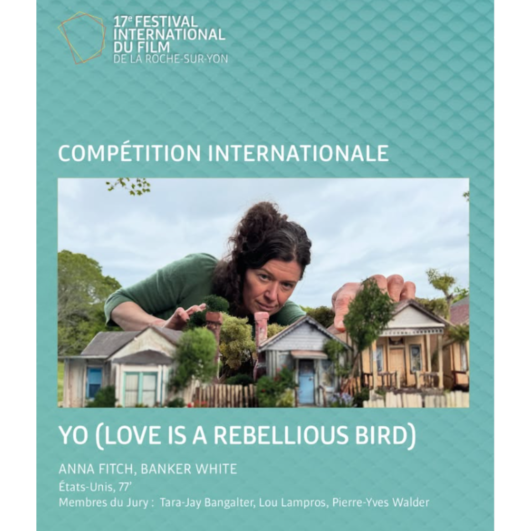 Festival International du Film de La Roche-sur-Yon