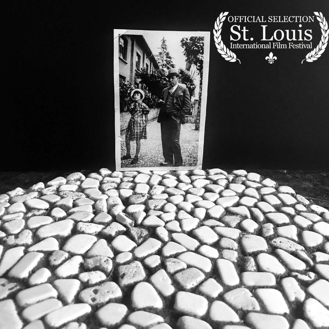 St. Louis International Film Festival