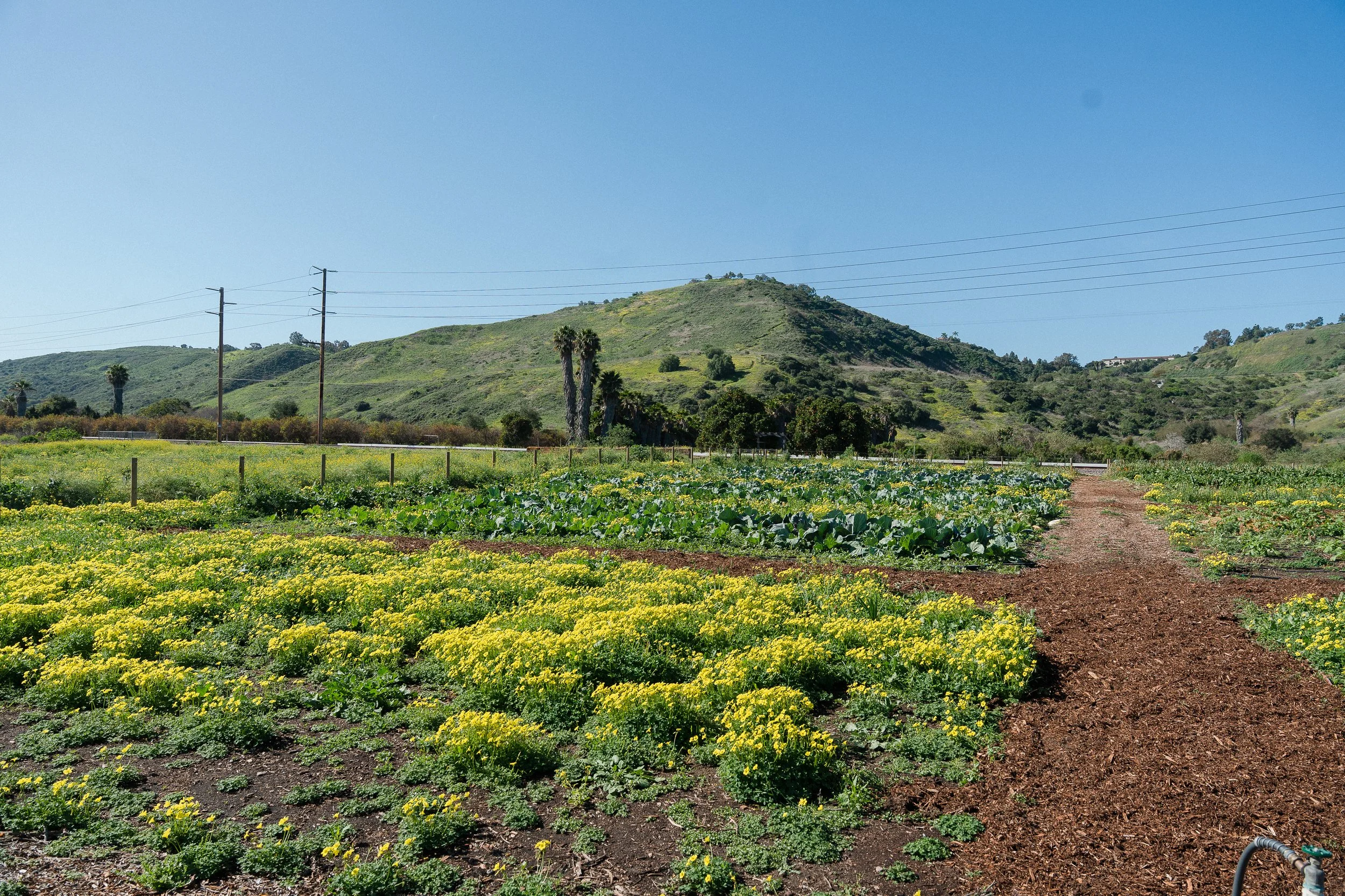 fermfarm-sjc-334.jpg