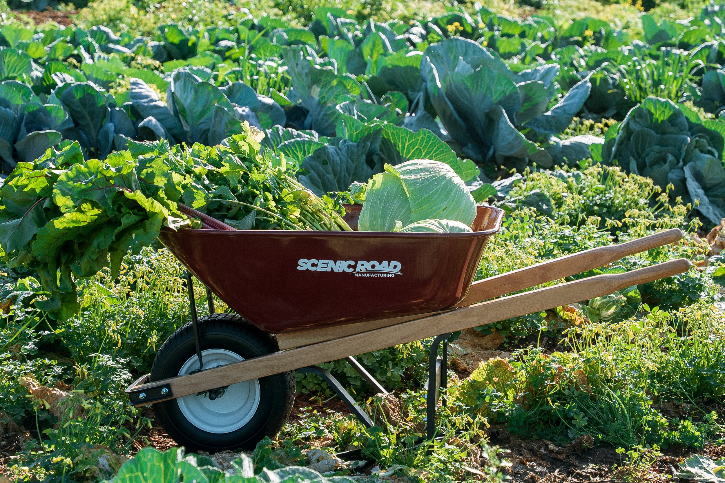 fermfarm-sjc-96.jpg