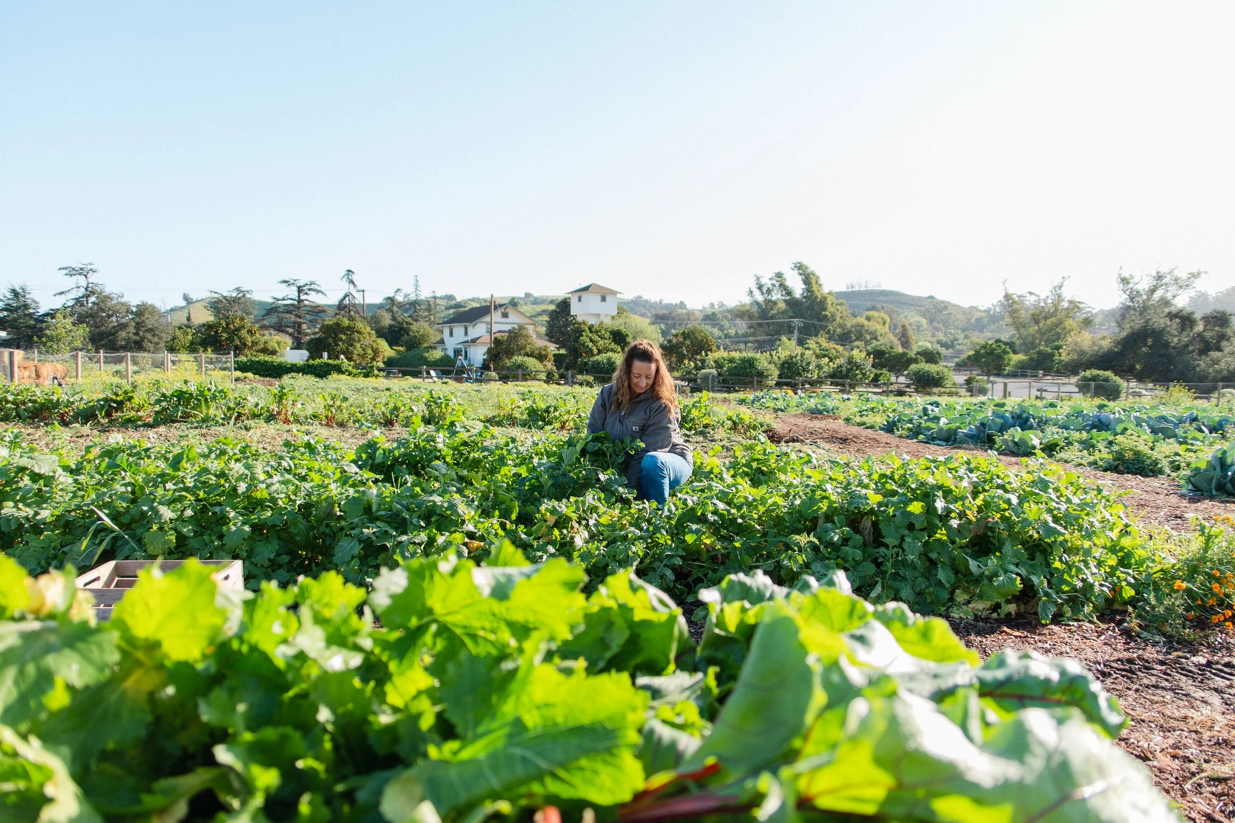 fermfarm-sjc-559.jpg