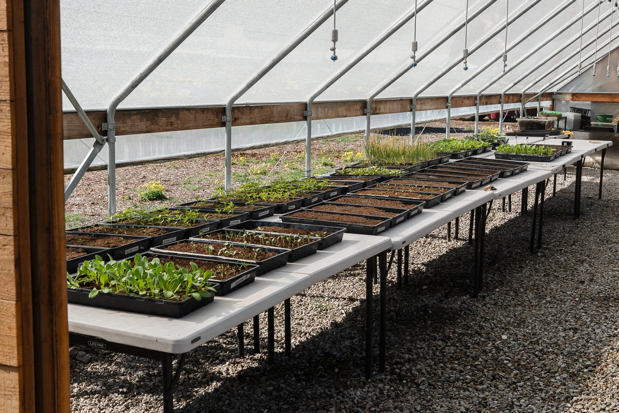 fermfarm-sjc-362.jpg