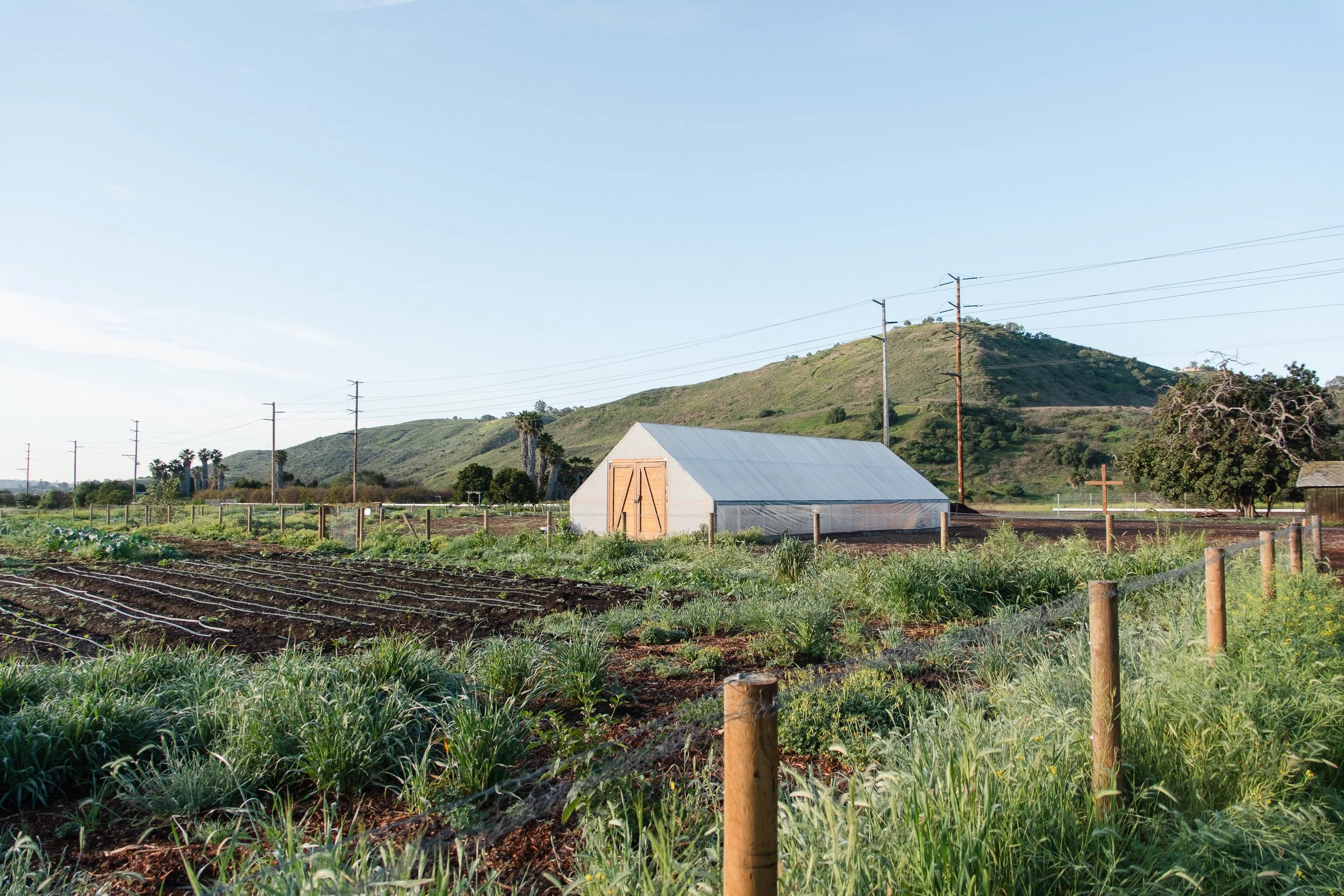 fermfarm-sjc-434.jpg