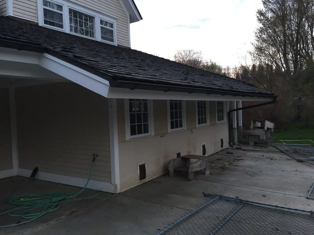 Before: A utilitarian backyard area previously used as a dog kennel, doggie doors, and a barren ground. 