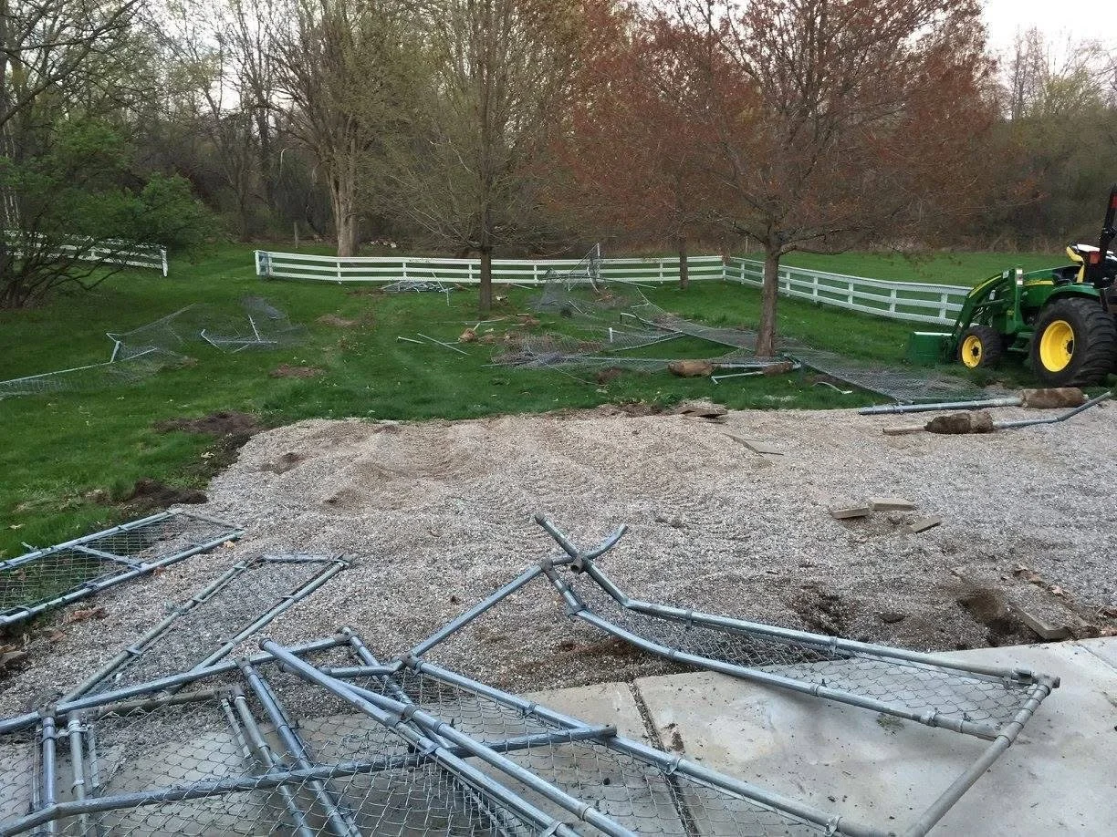 Before: A backyard area previously used as a dog kennel and dog areas.