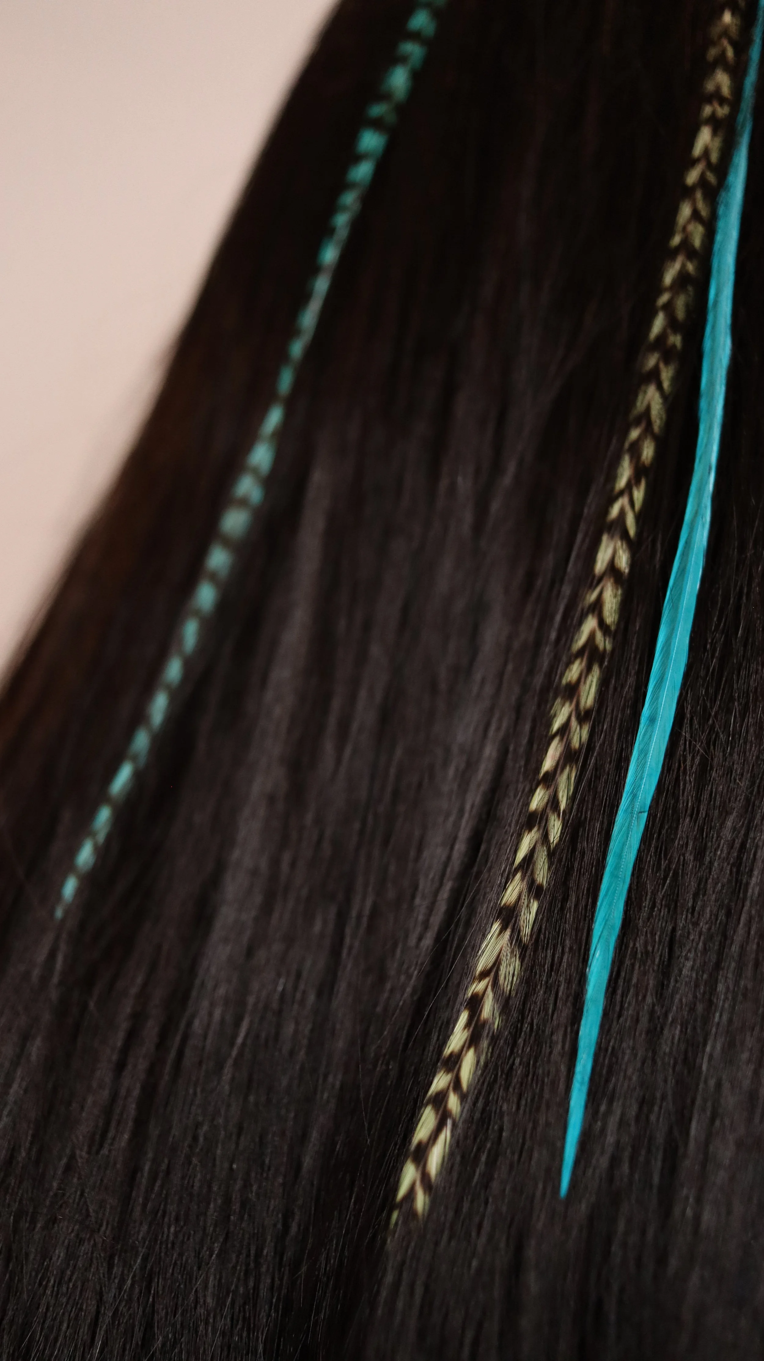 Teal and natural feather hair extensions close-up in dark hair