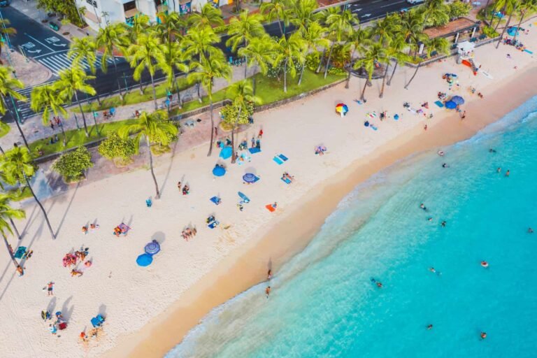 Exploring Growth and Opportunity: DC Global Talent at CHICOS