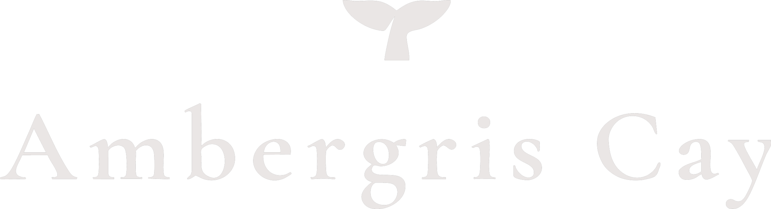 Black logo for Ambergris Caye with a white whale tail above the text.