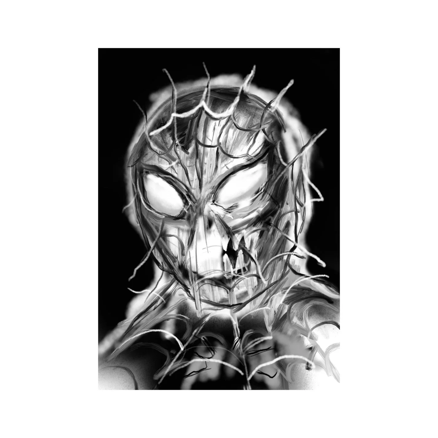 SPYDER, 2025 - DIGITAL / 29.7 X 42.0 cm