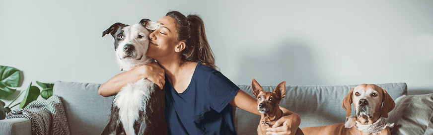 Tendencias 2025: Por qué las propiedades pet-friendly aumentan su valor.