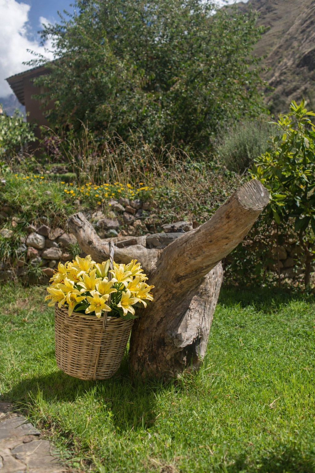 ChatGPT Image 29 ene 2026, 10_19_21 a.m..png