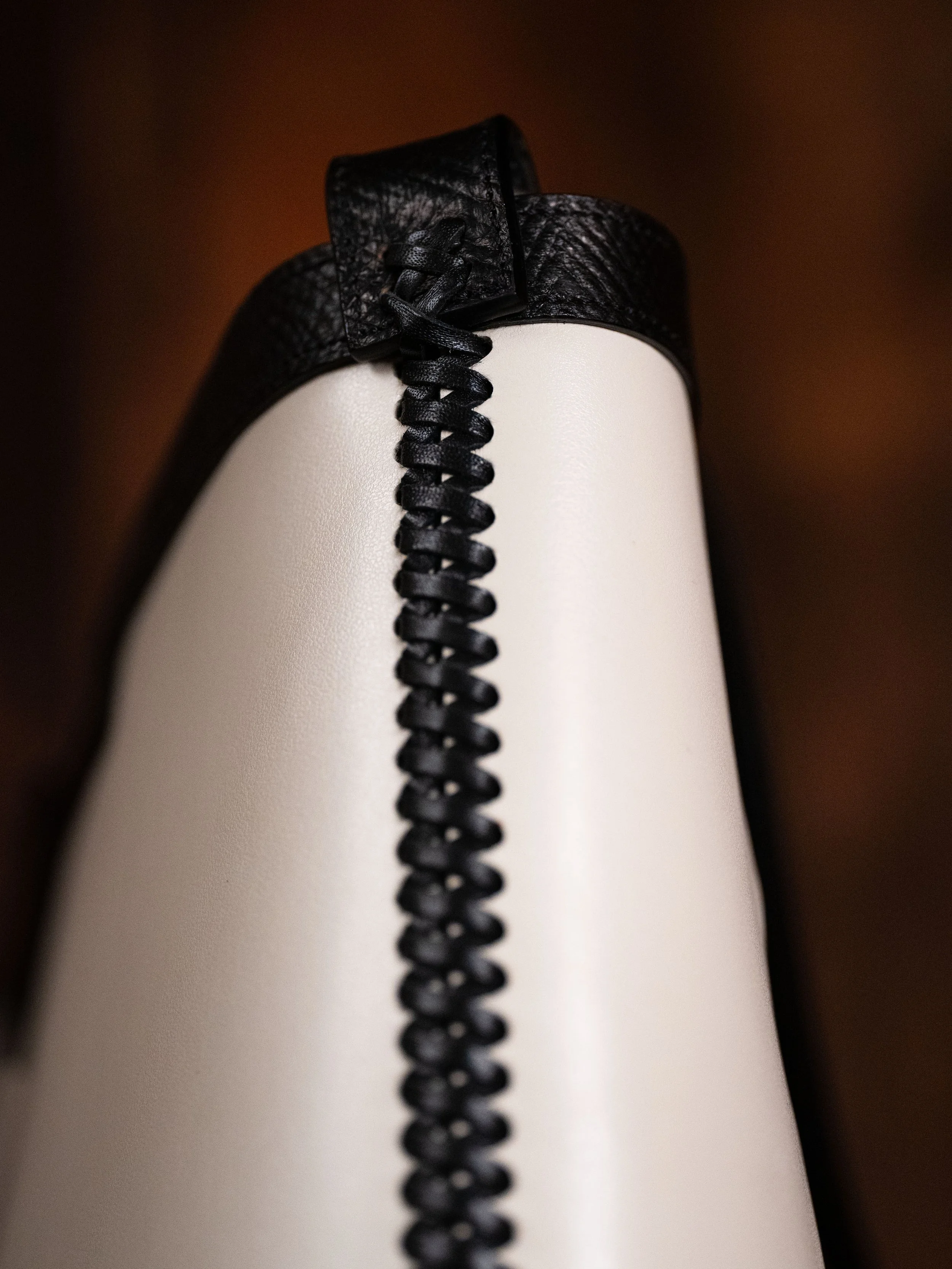 Day Tripper B&W Side Detail.jpg