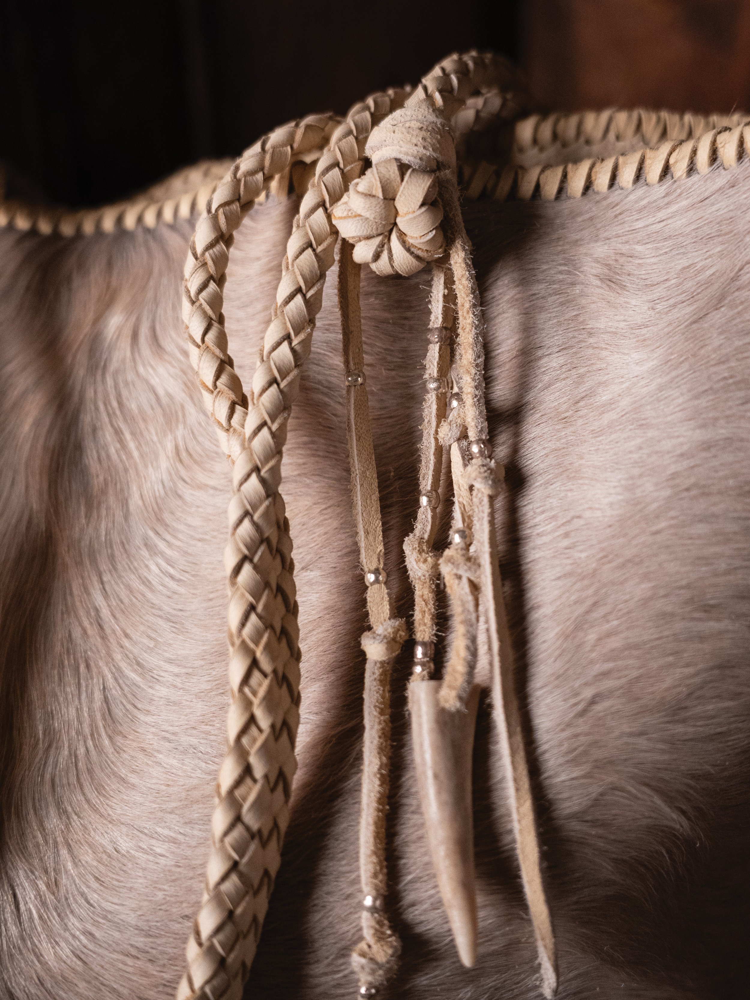 Charm and Handle Skadi Tote.jpg