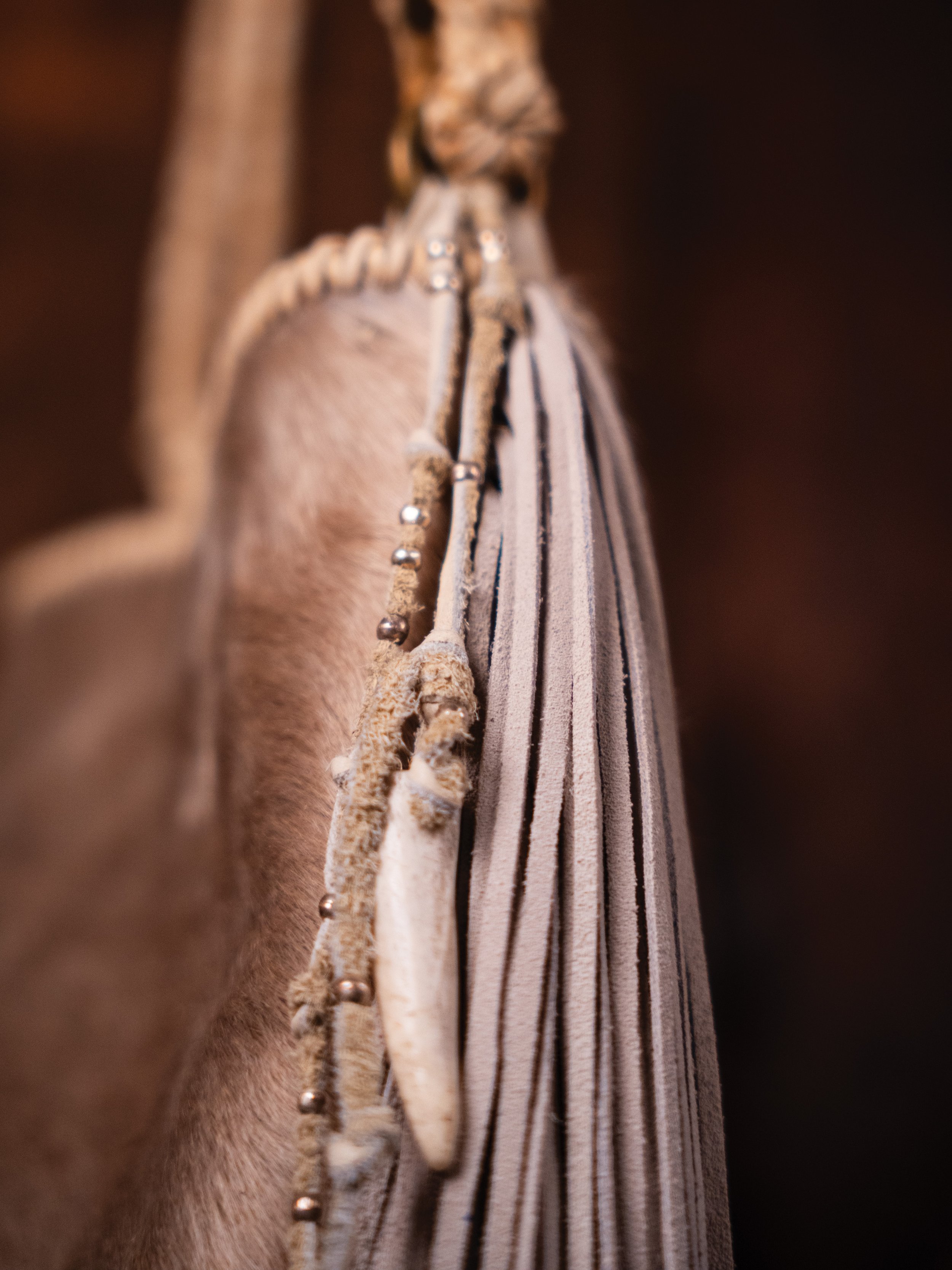 Charm Detail Skadi Crossbody.jpg