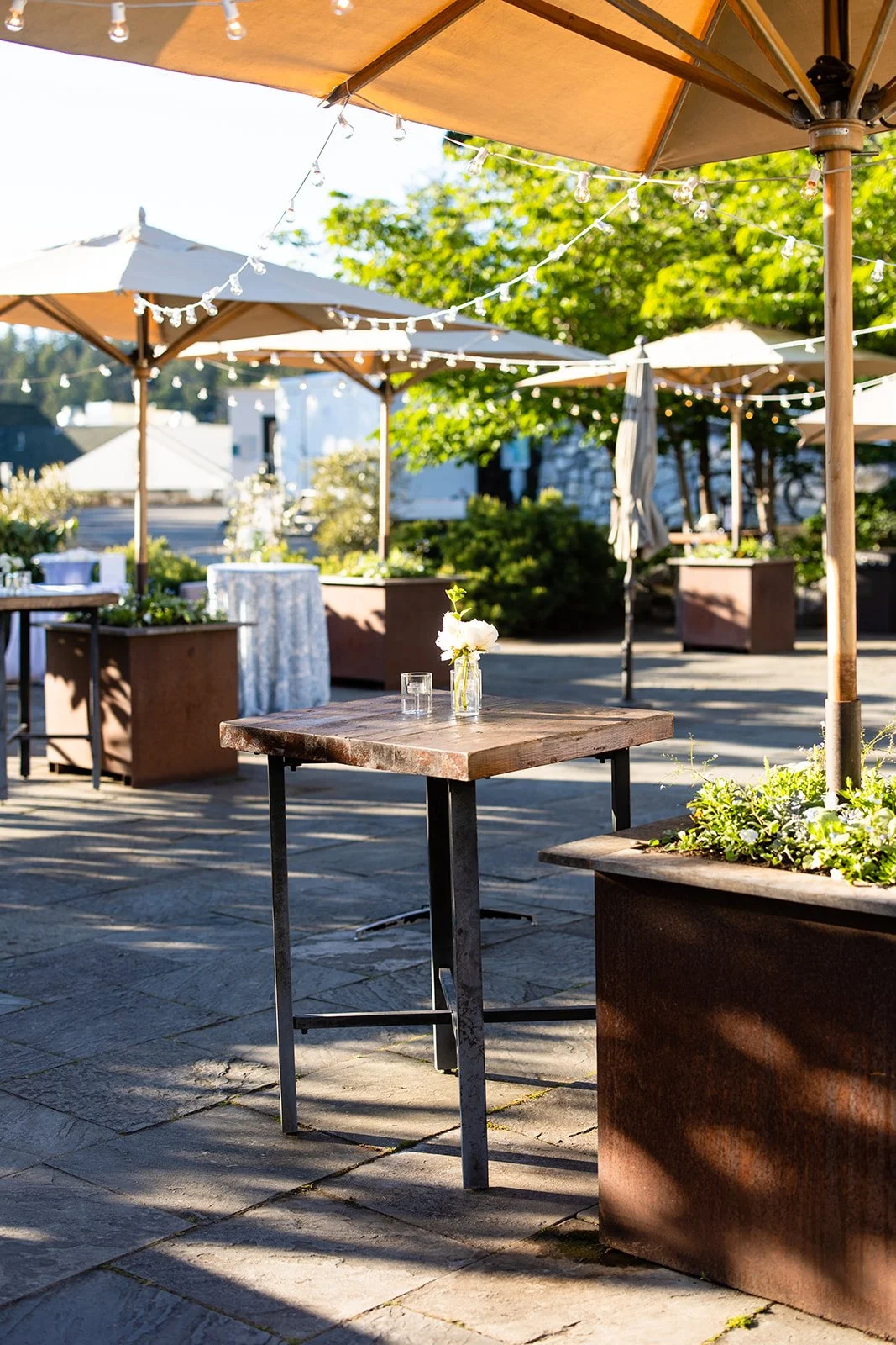 0980-La-Vie-Photo_websize (1).jpg