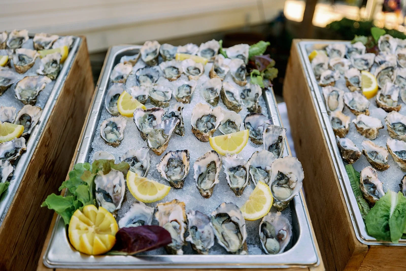 Tray of fresh oysters on ice garnished with lemon wedges and greens.