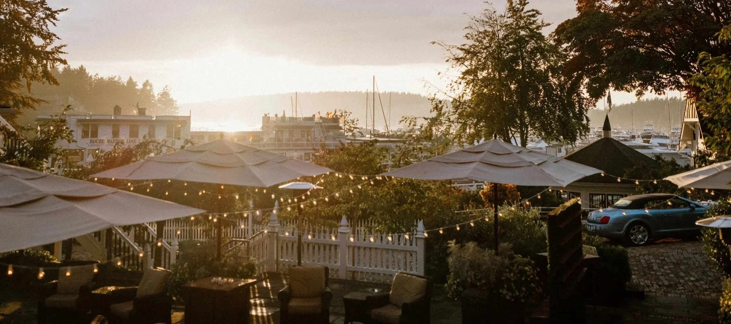 Sunset view over a marina, with boats docked and buildings in the distance. In the foreground, outdoor seating with chairs, umbrellas, and string lights surrounded by trees and plants.