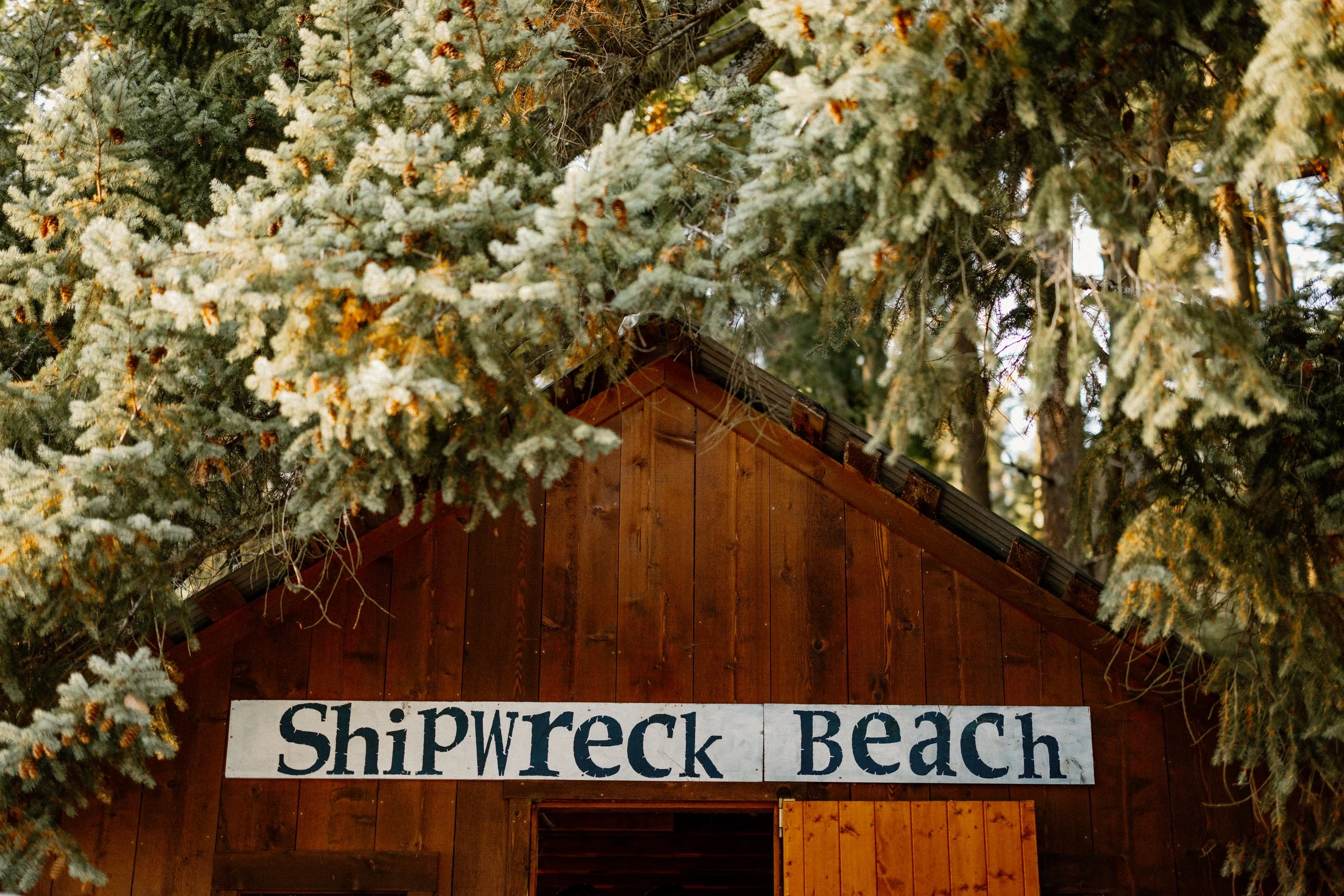 A wooden building with a sign that reads 'Shipwreck Beach' surrounded by green pine trees.