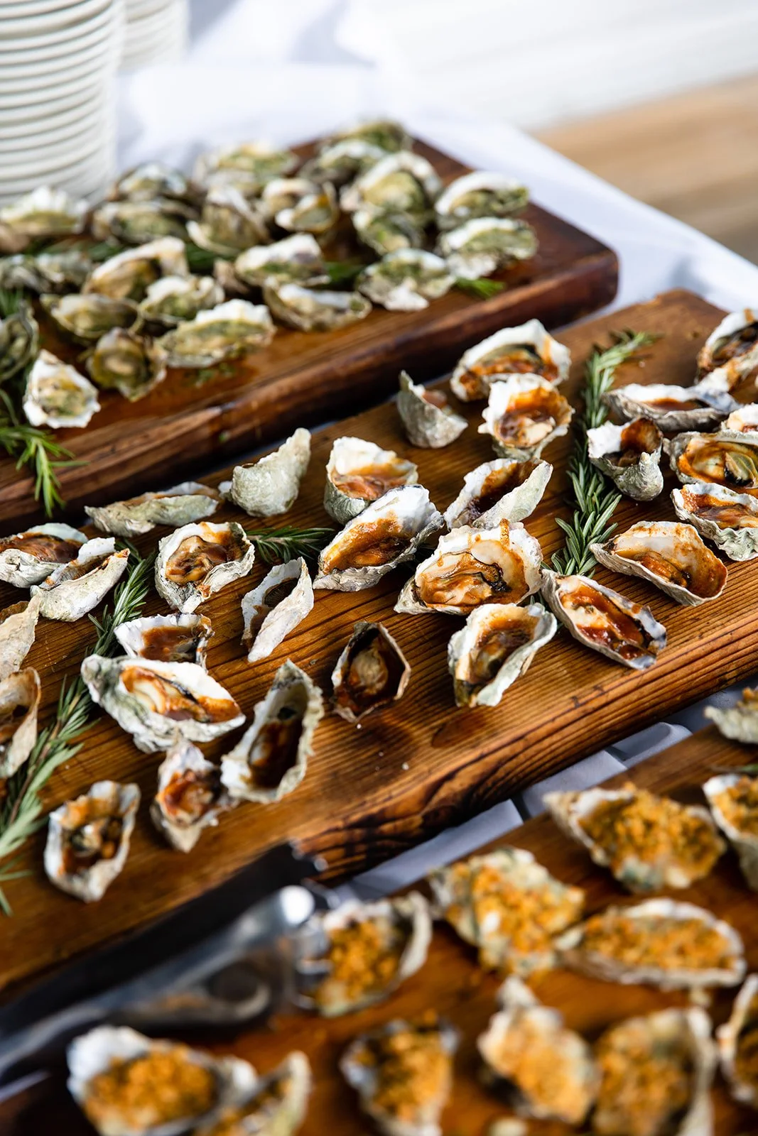 Assorted oysters on wooden trays garnished with herbs.