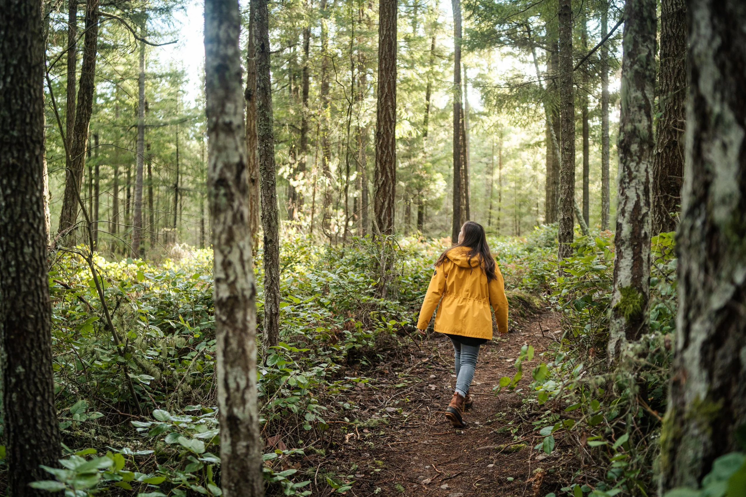A woman in a yellow jacket walking on a dirt trail through a dense forest with tall trees and green foliage.