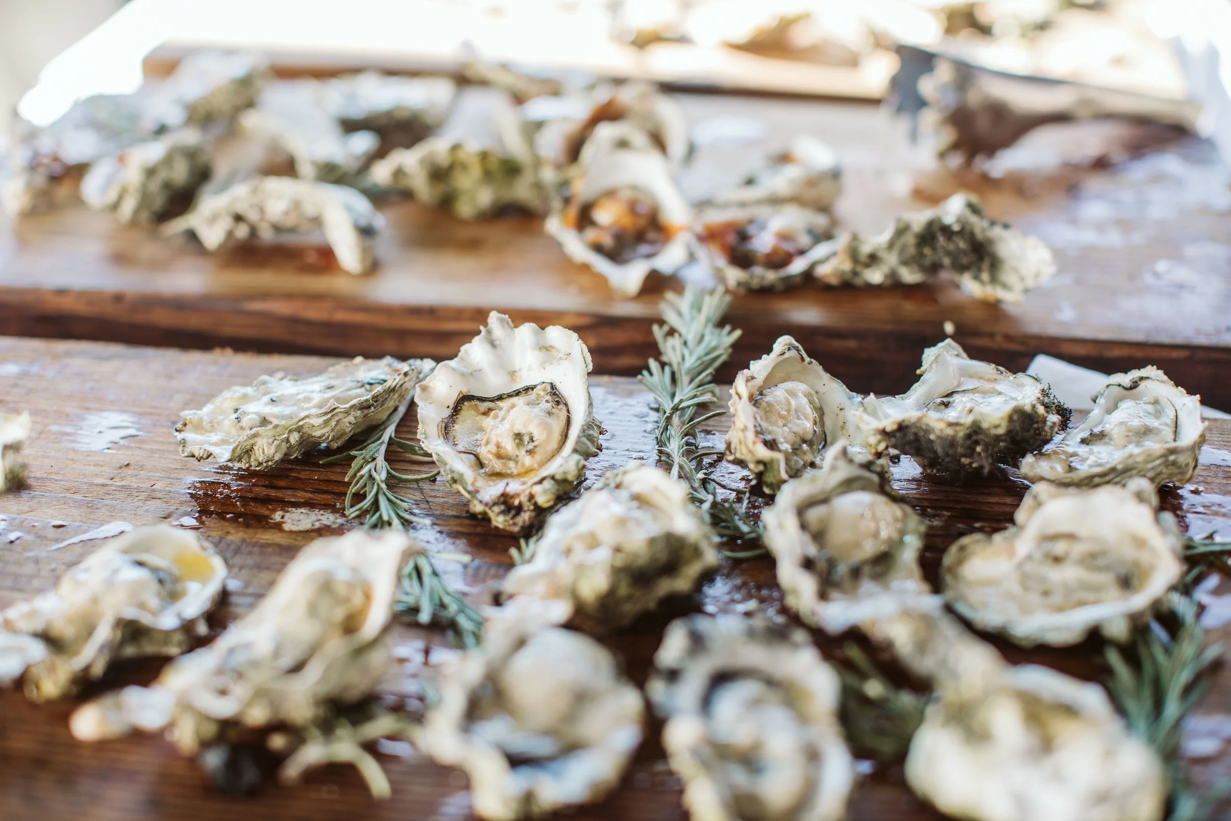 Assorted raw oysters on a wooden surface, garnished with sprigs of rosemary.