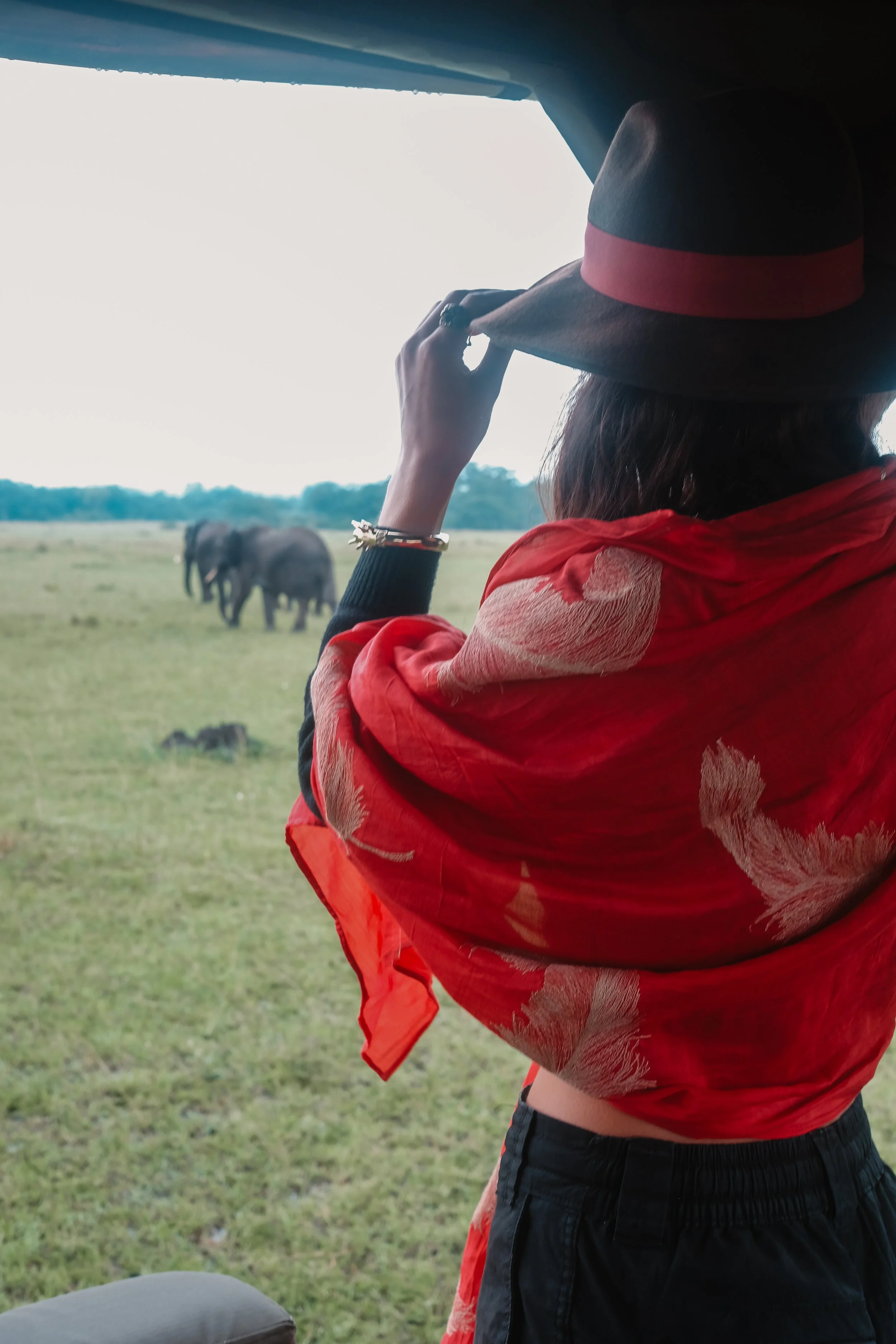 A person wearing a black hat with a red band, a red shawl with gold feather patterns, and a black top, sitting in a vehicle or tent, looking at elephants in a grassy plain.
