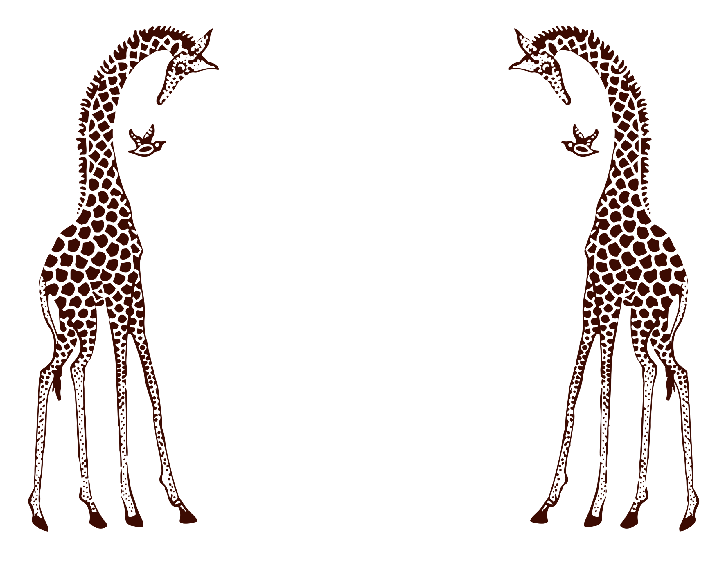 Two brown giraffes with long necks and patterned spots facing each other, forming a heart shape with their necks and heads.