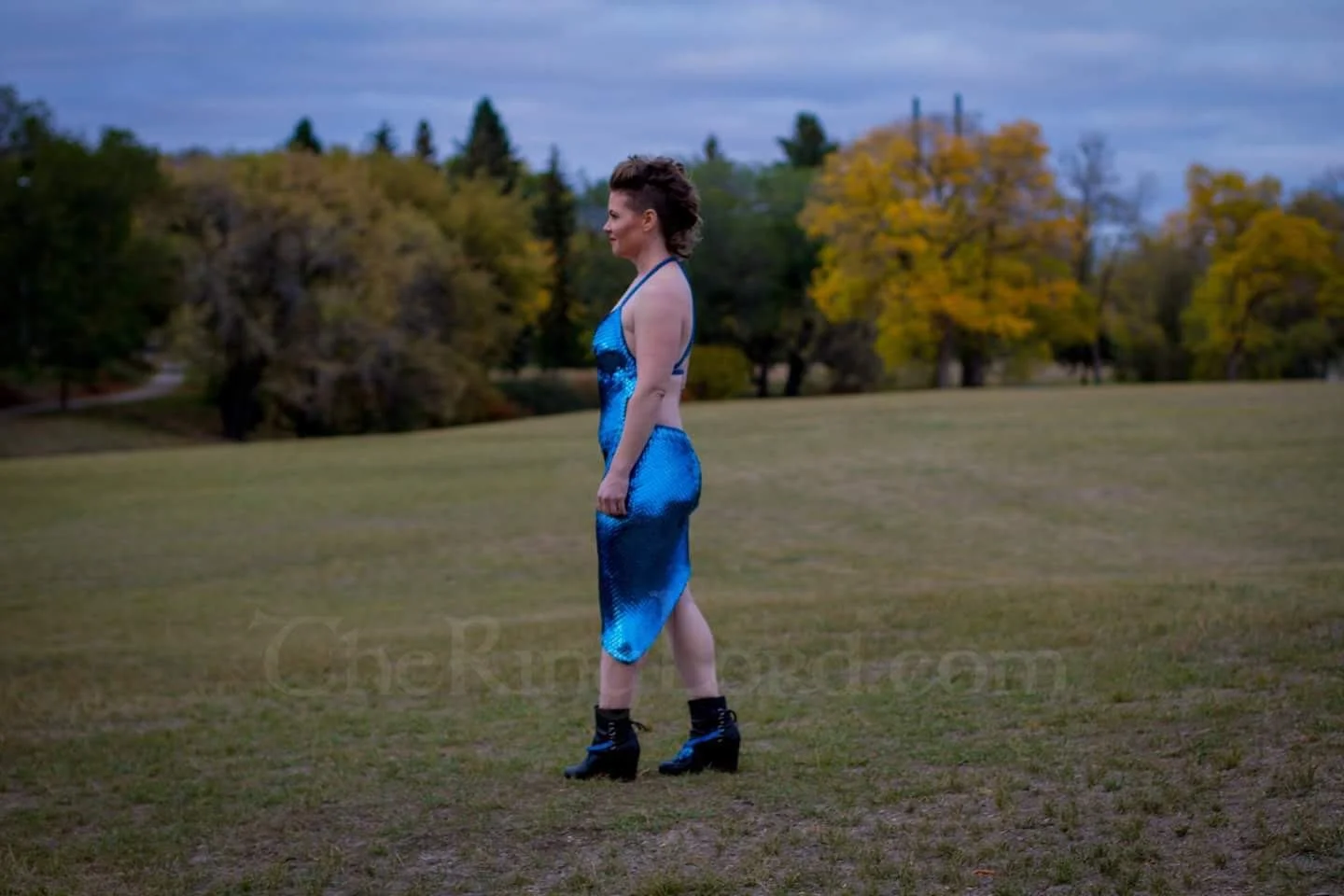 Custom Dress made for Awards when I went to Regionals for Entrepreneur of the Year in 2017 - as seen in my CEO photoshoot in 2018