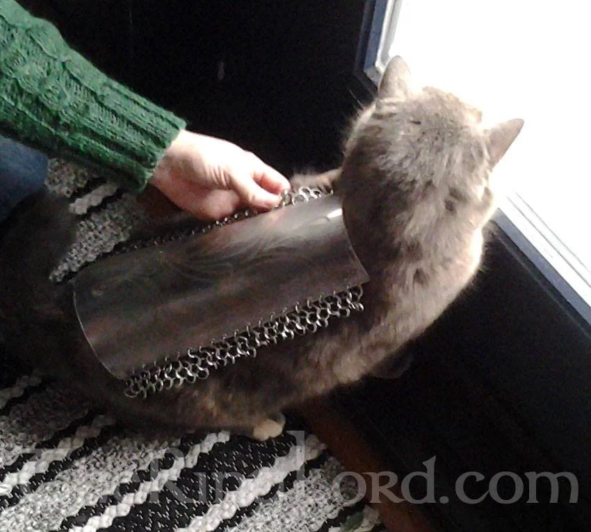 Seventh Son (2016)
Assasin Armor - Leg Greave testing on my cat Kes