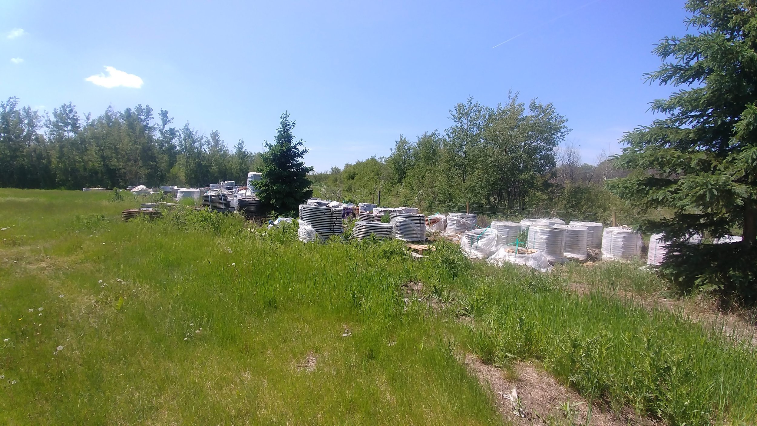 20180608_121509.jpg
