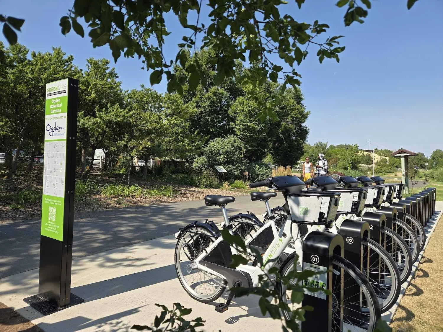 GreenBikes lined up in the rack.